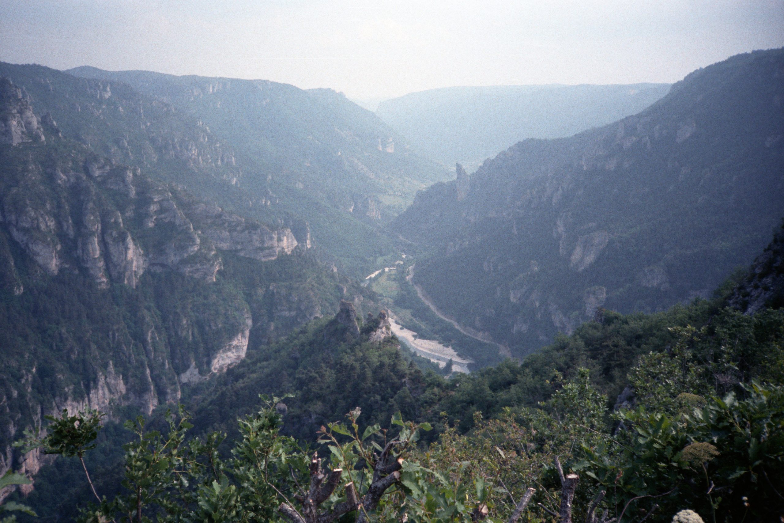 Gorges du Tarn -  - Lozère - France
