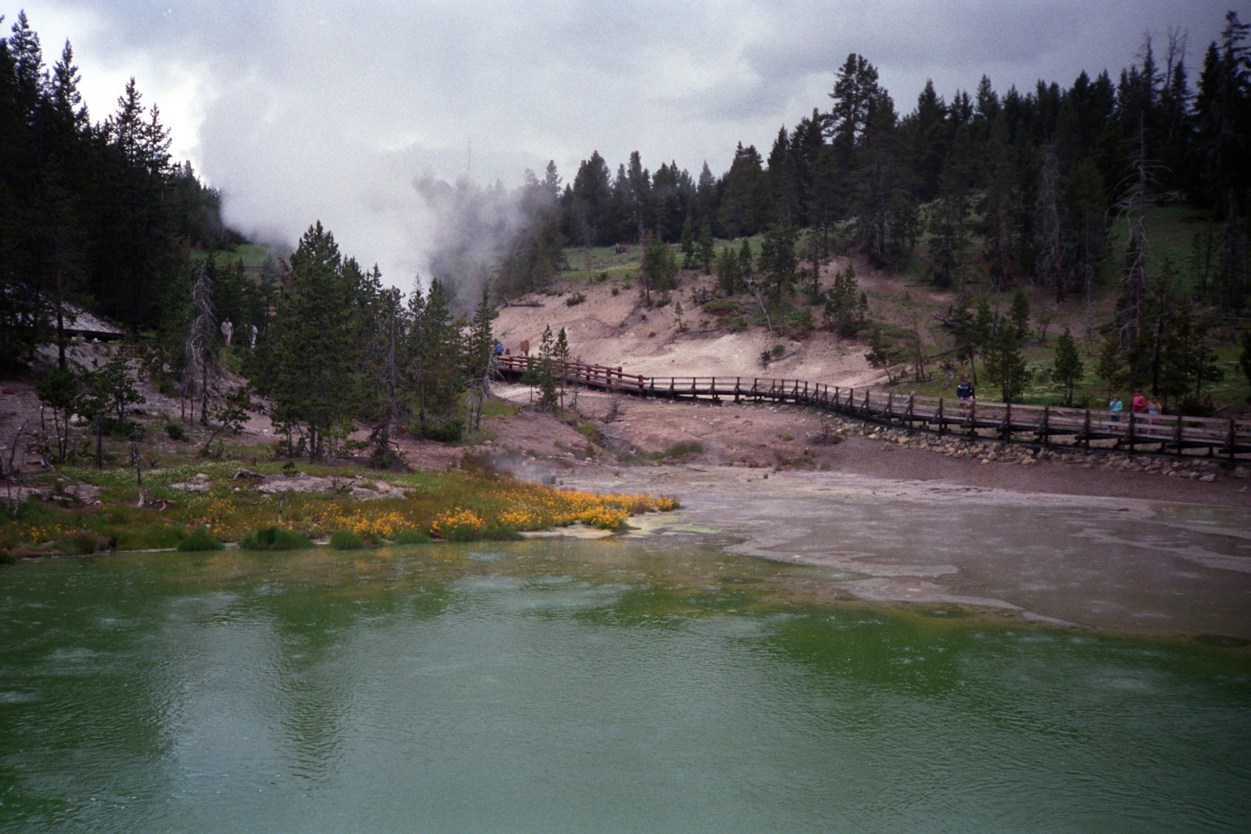 - Yellowstone National Park - Wyoming - USA