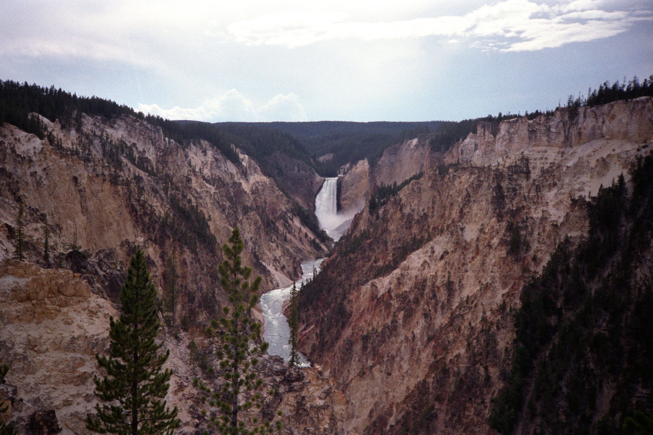 - Yellowstone National Park - Wyoming - USA