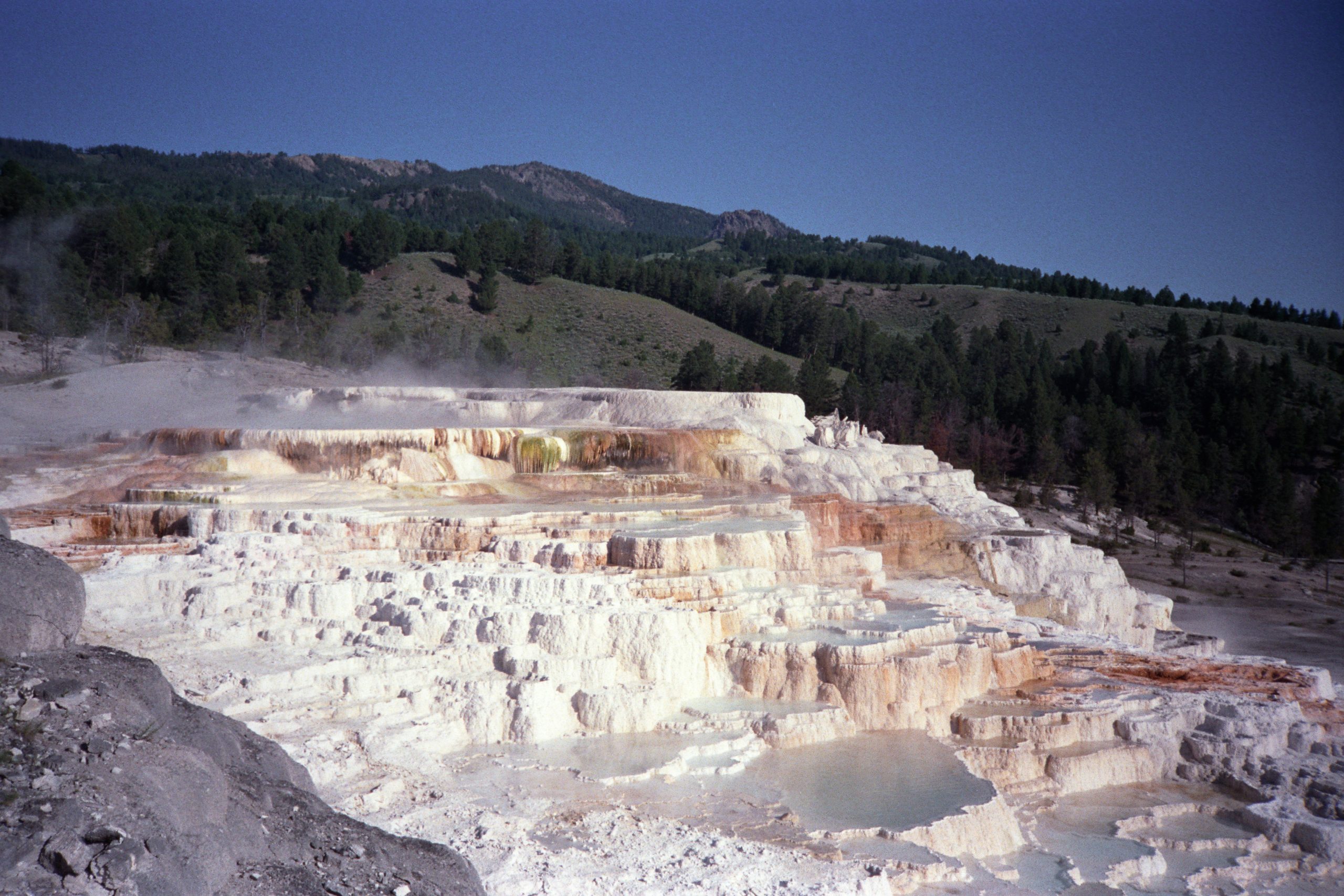 - Yellowstone National Park - Wyoming - USA