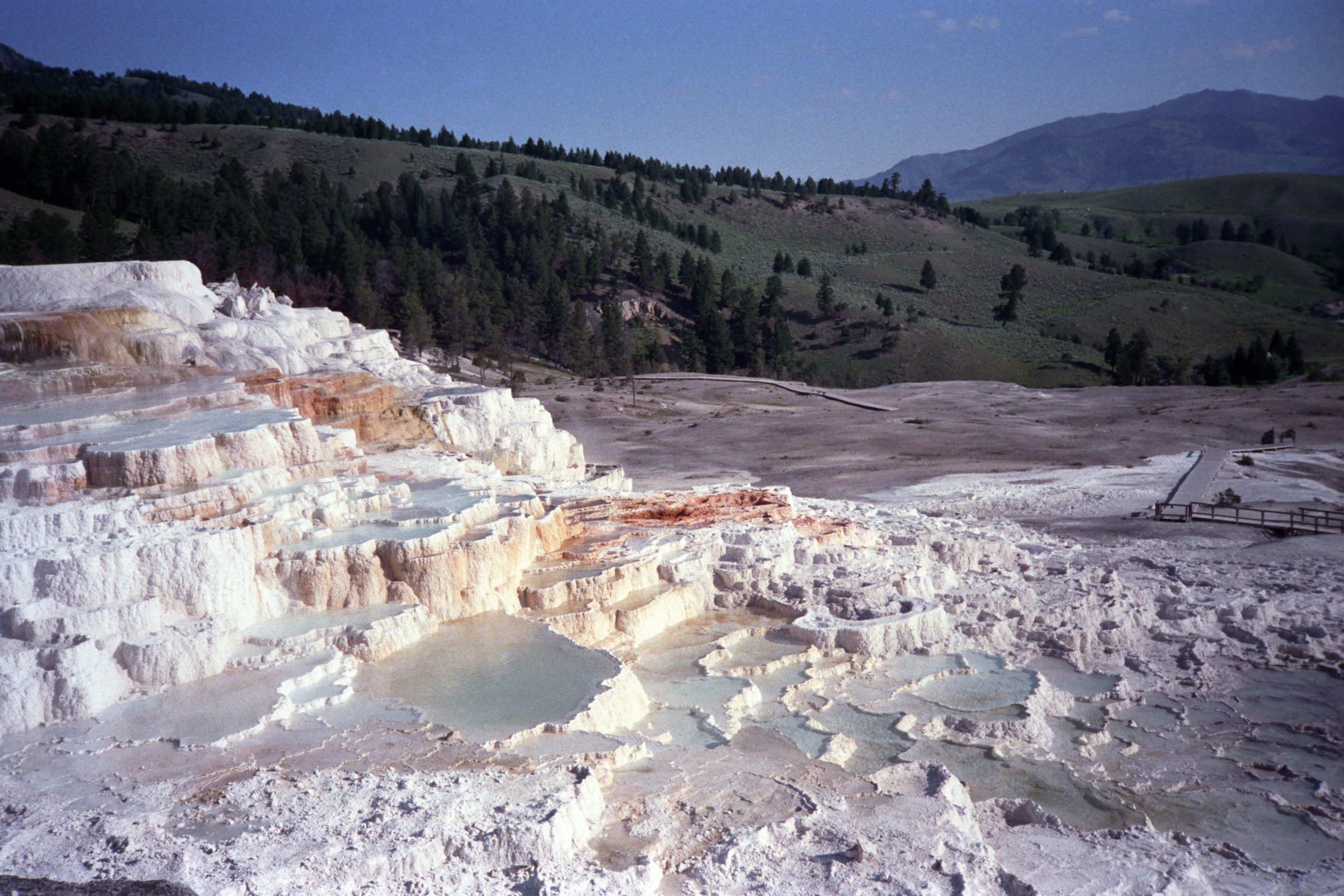 - Yellowstone National Park - Wyoming - USA