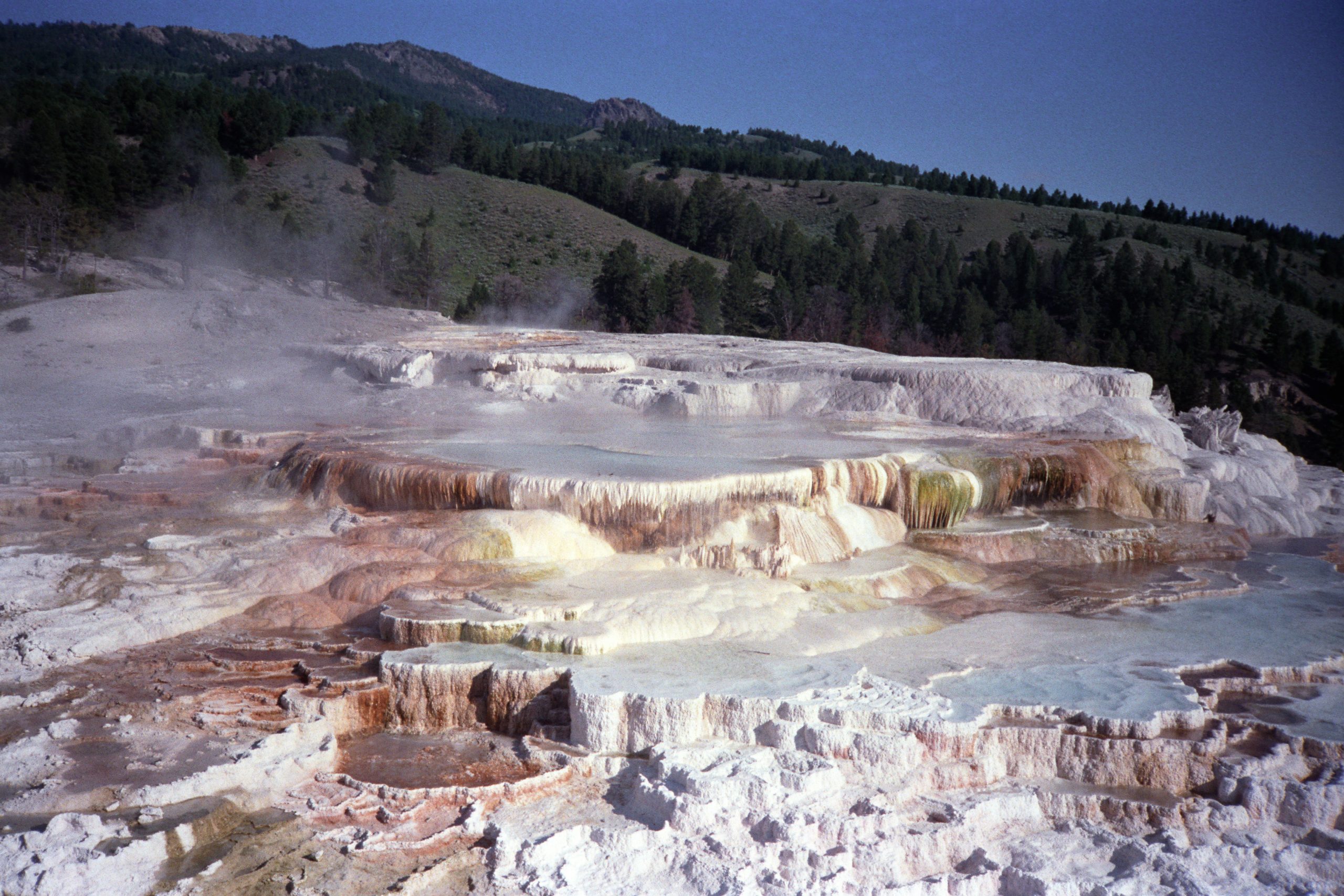 - Yellowstone National Park - Wyoming - USA