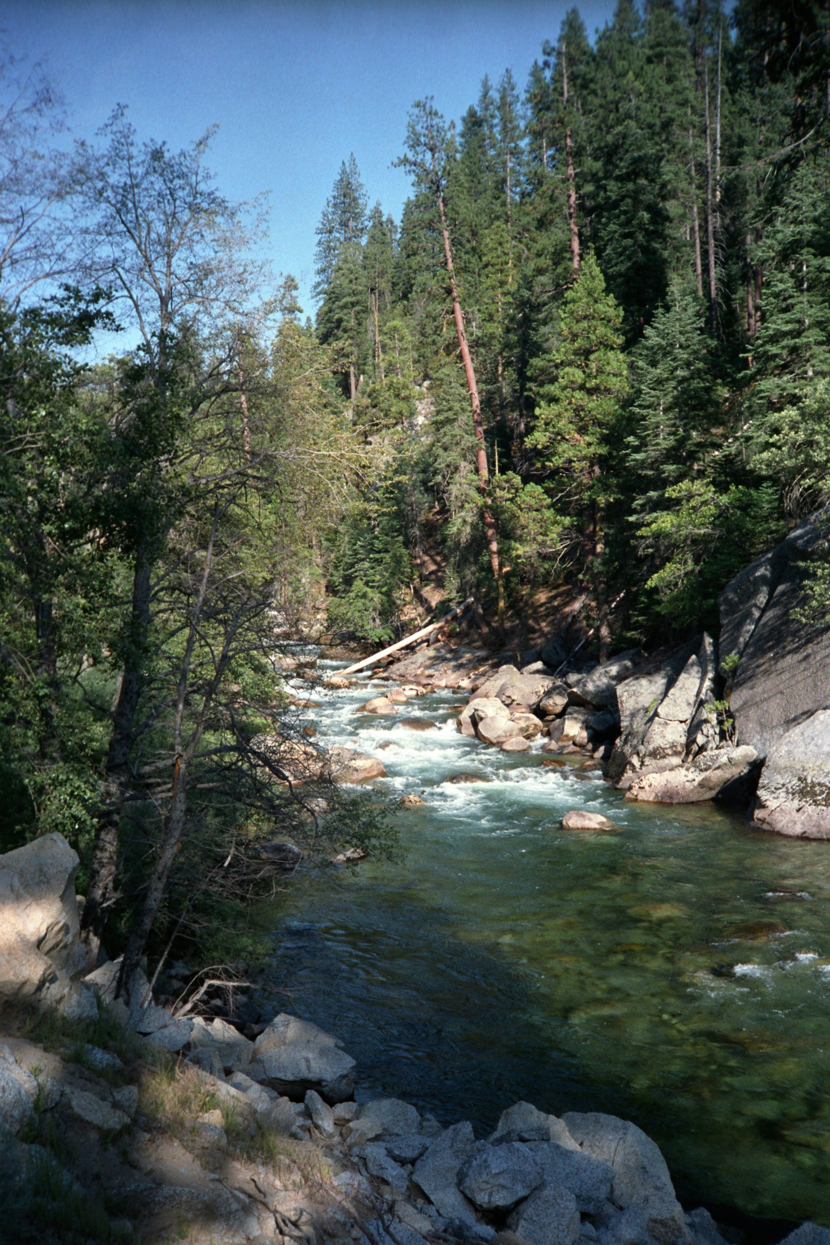 - Yosemite National Park - California - USA