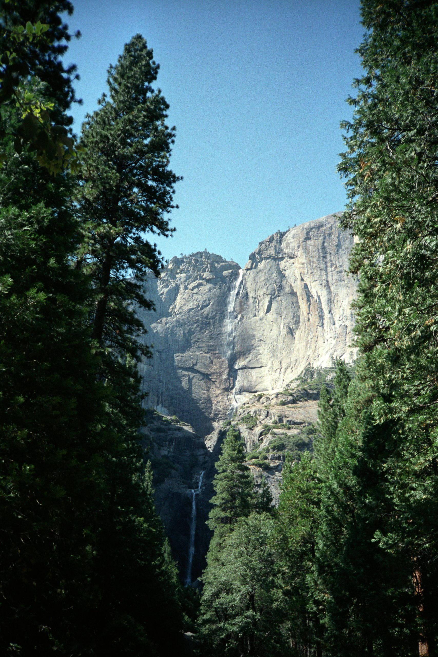 - Yosemite National Park - California - USA