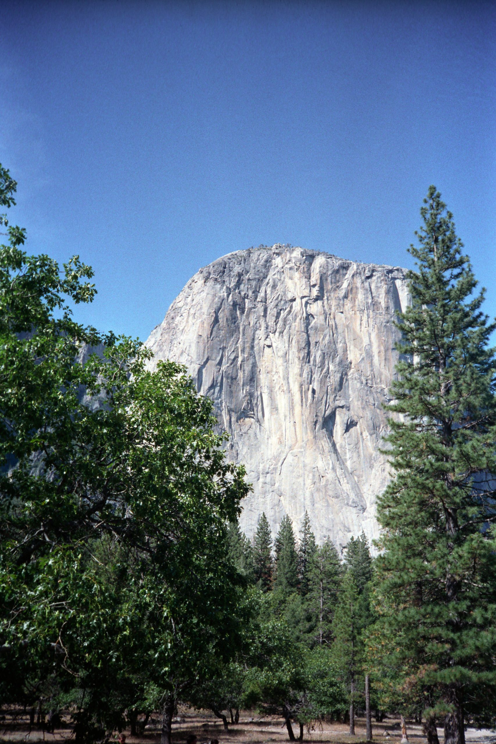 - Yosemite National Park - California - USA