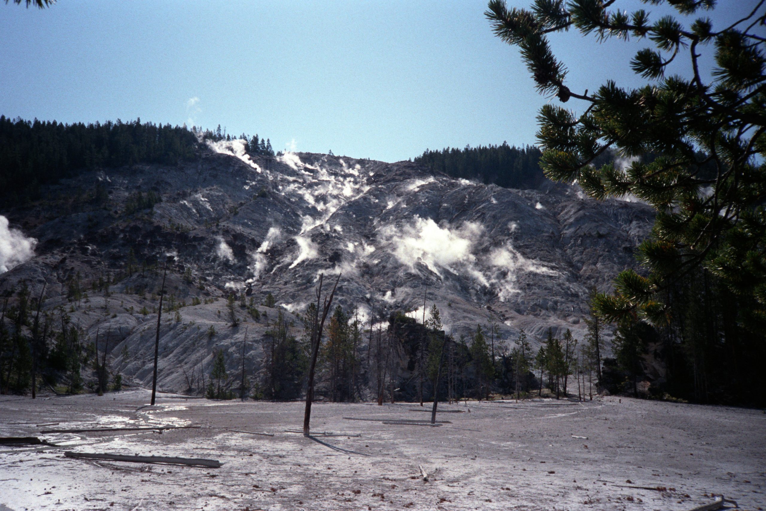- Yellowstone National Park - Wyoming - USA