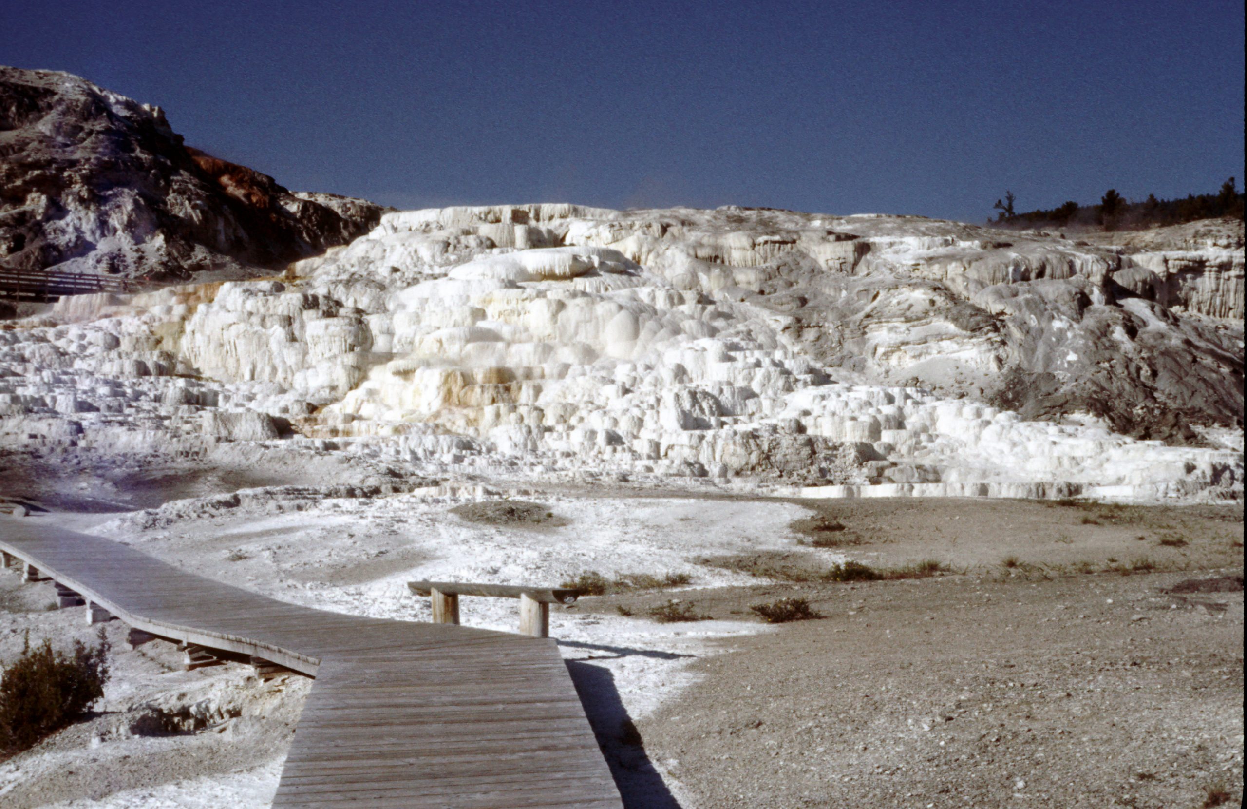 - Yellowstone National Park - Wyoming - USA