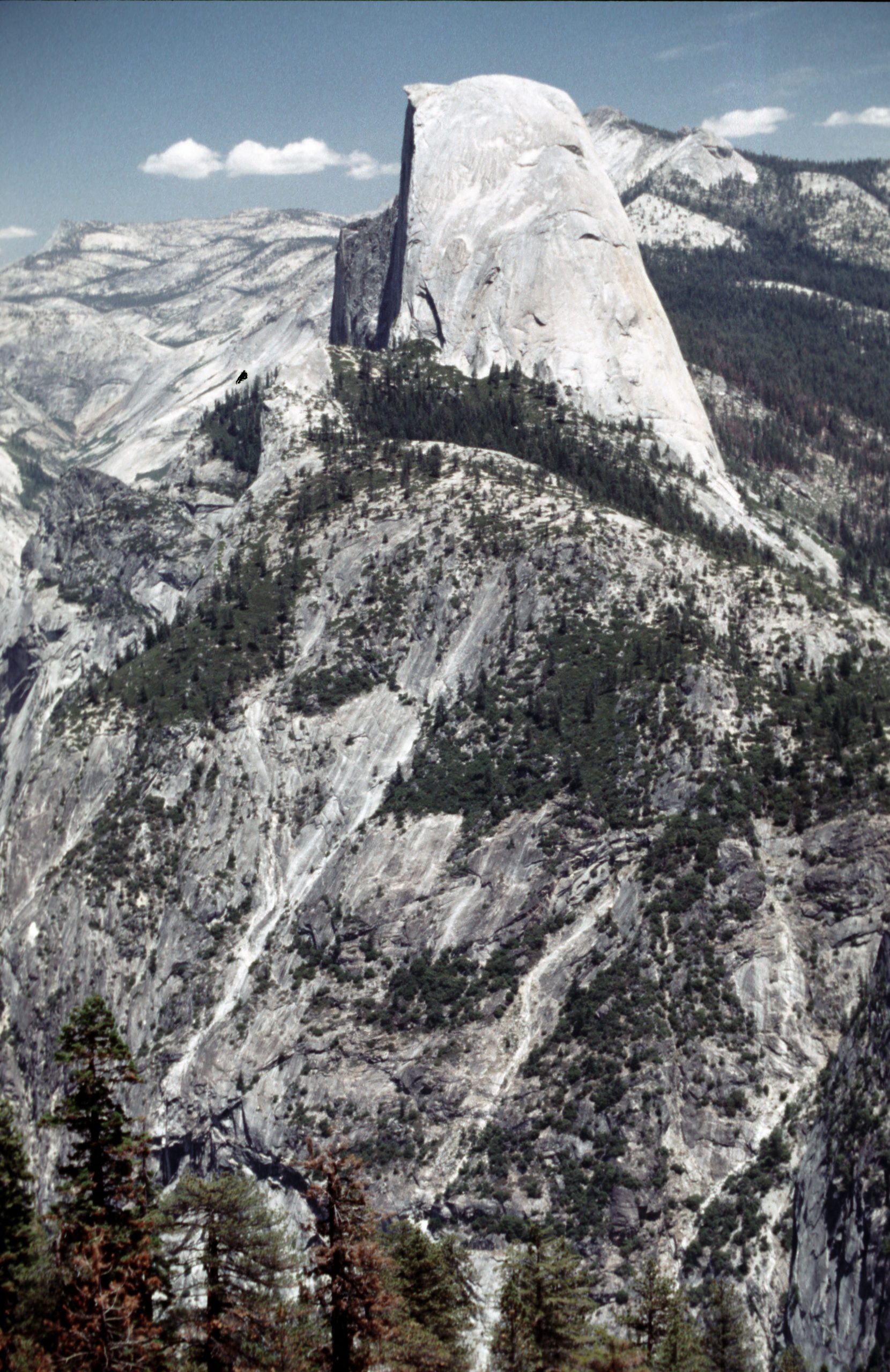 - Yosemite National Park - California - USA