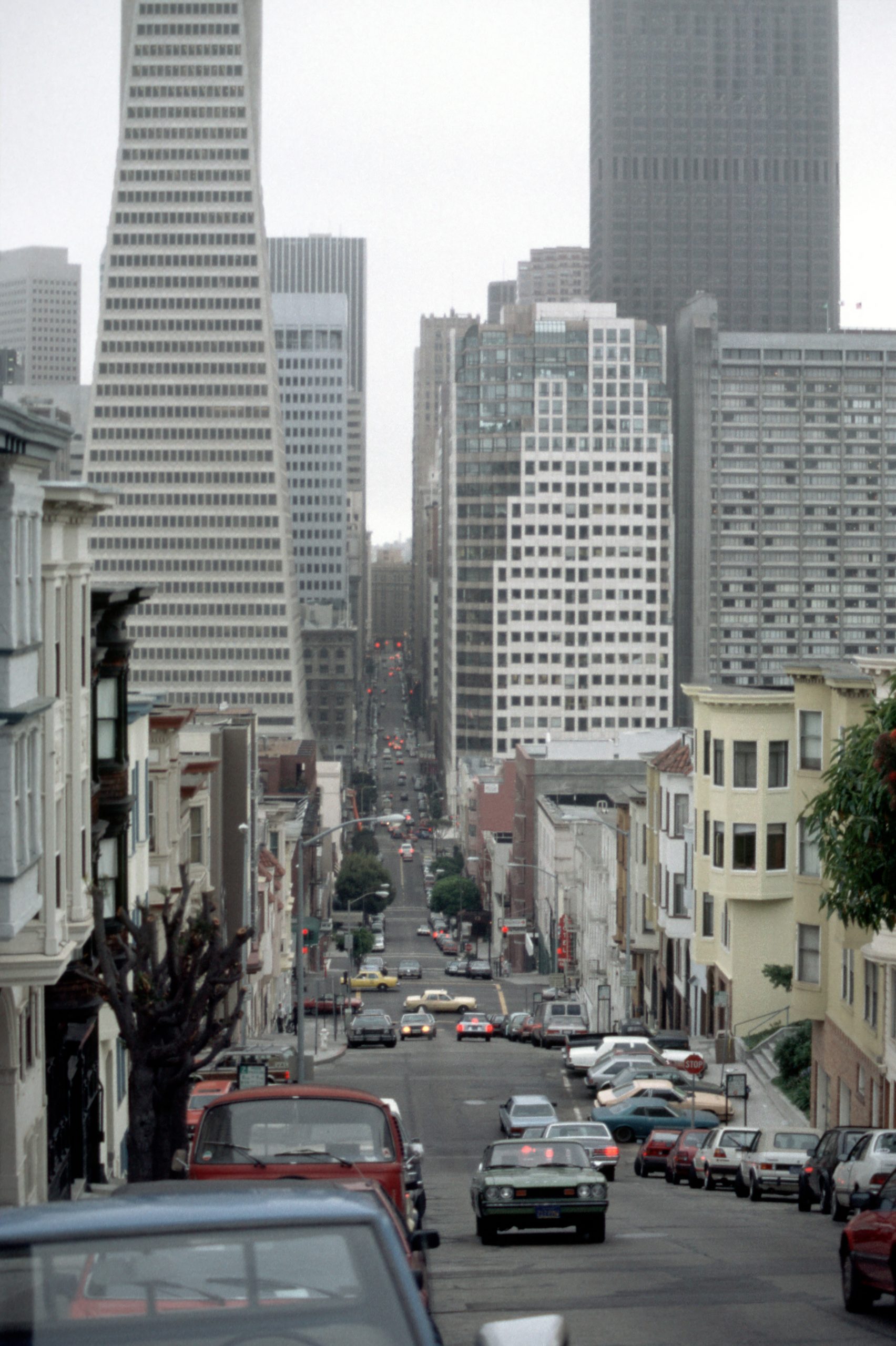 - San Francisco - California - USA