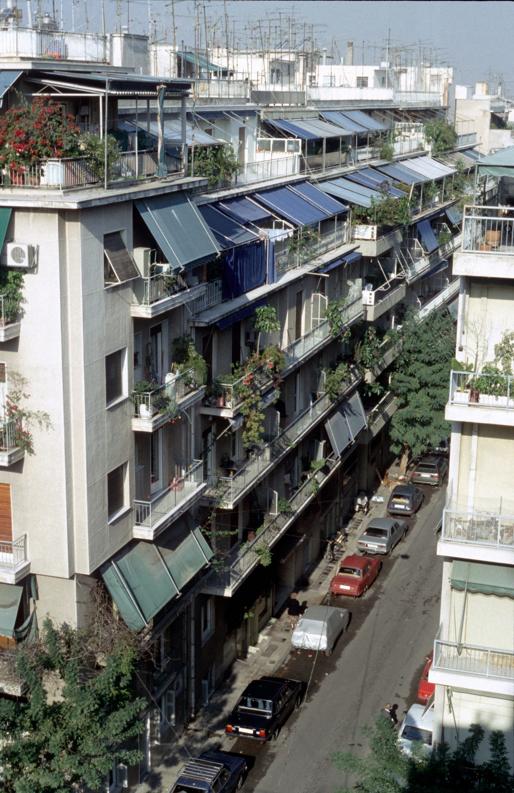 Pangrati - Athens - Attica - Greece