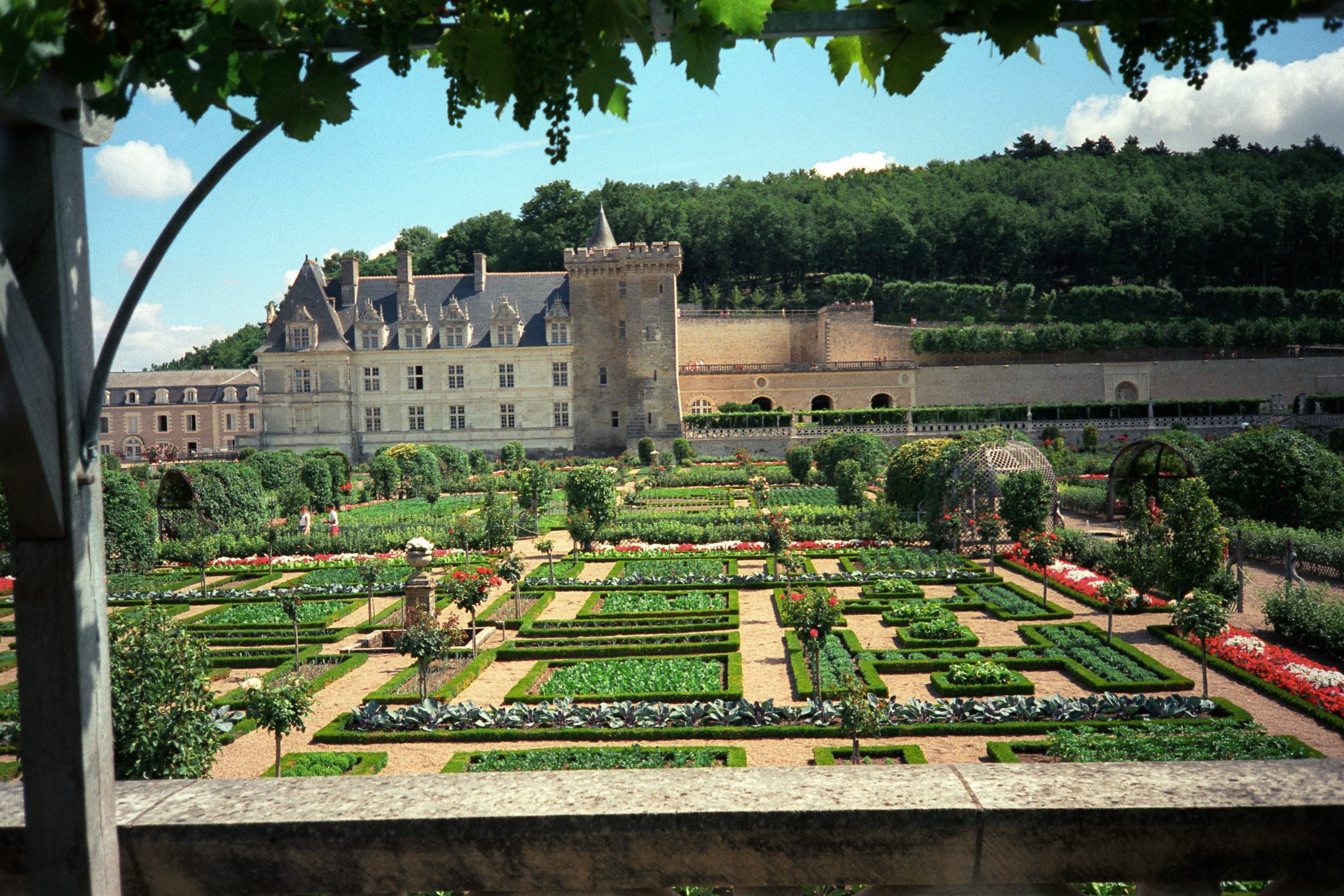 Château de Villandry - Villandry - Indre-et-Loire - France