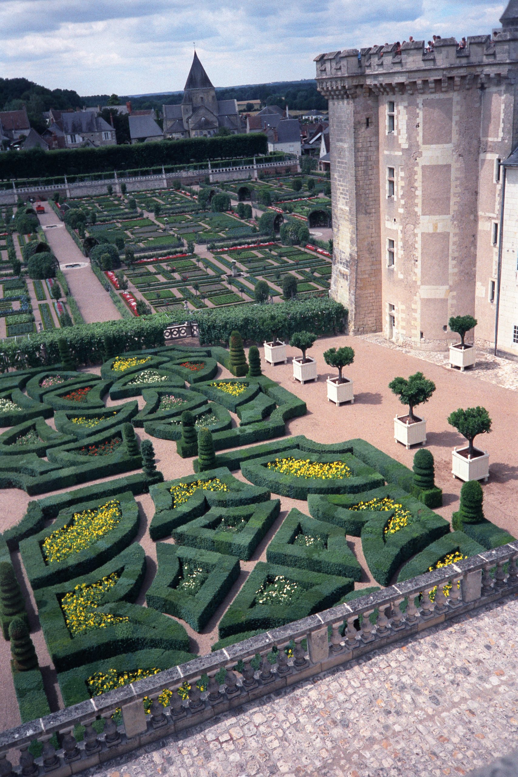 Château de Villandry - Villandry - Indre-et-Loire - France