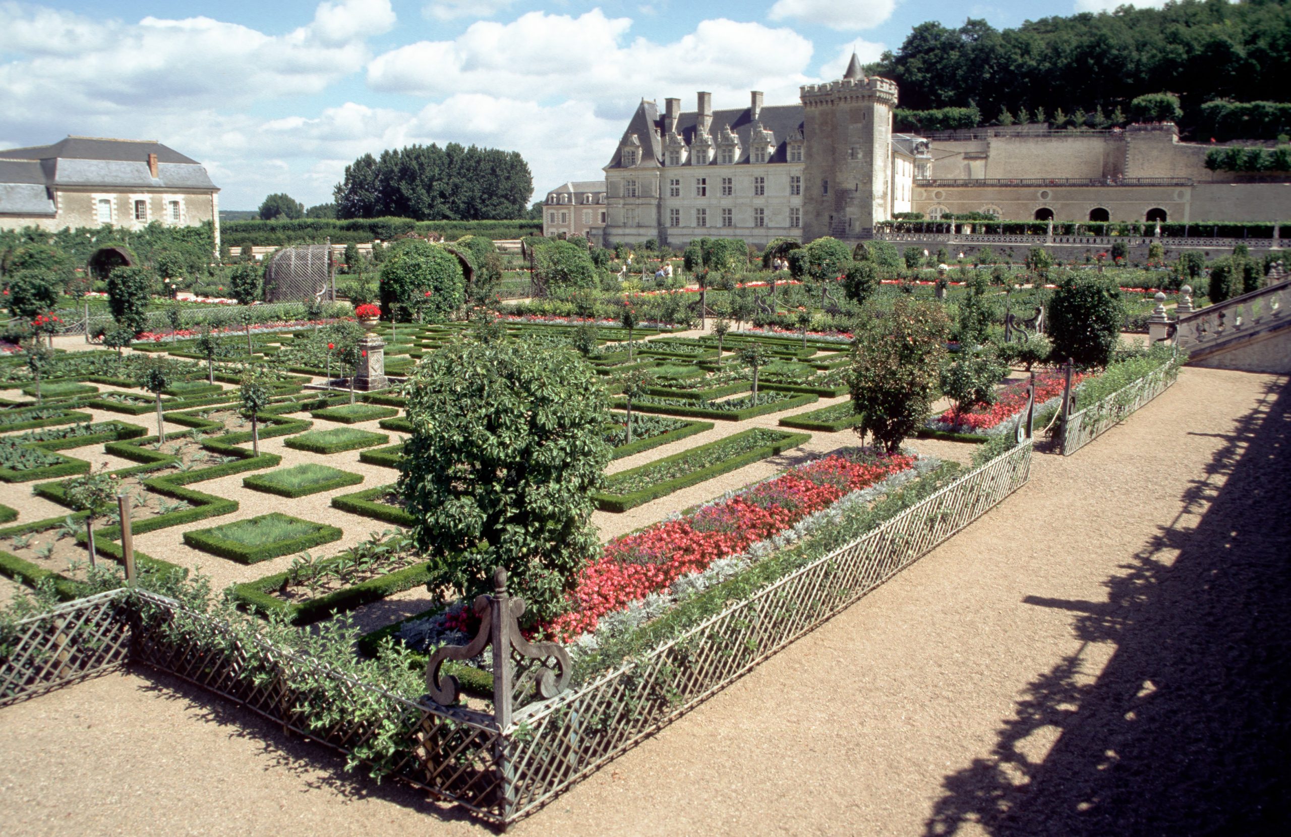 Château de Villandry - Villandry - Indre-et-Loire - France