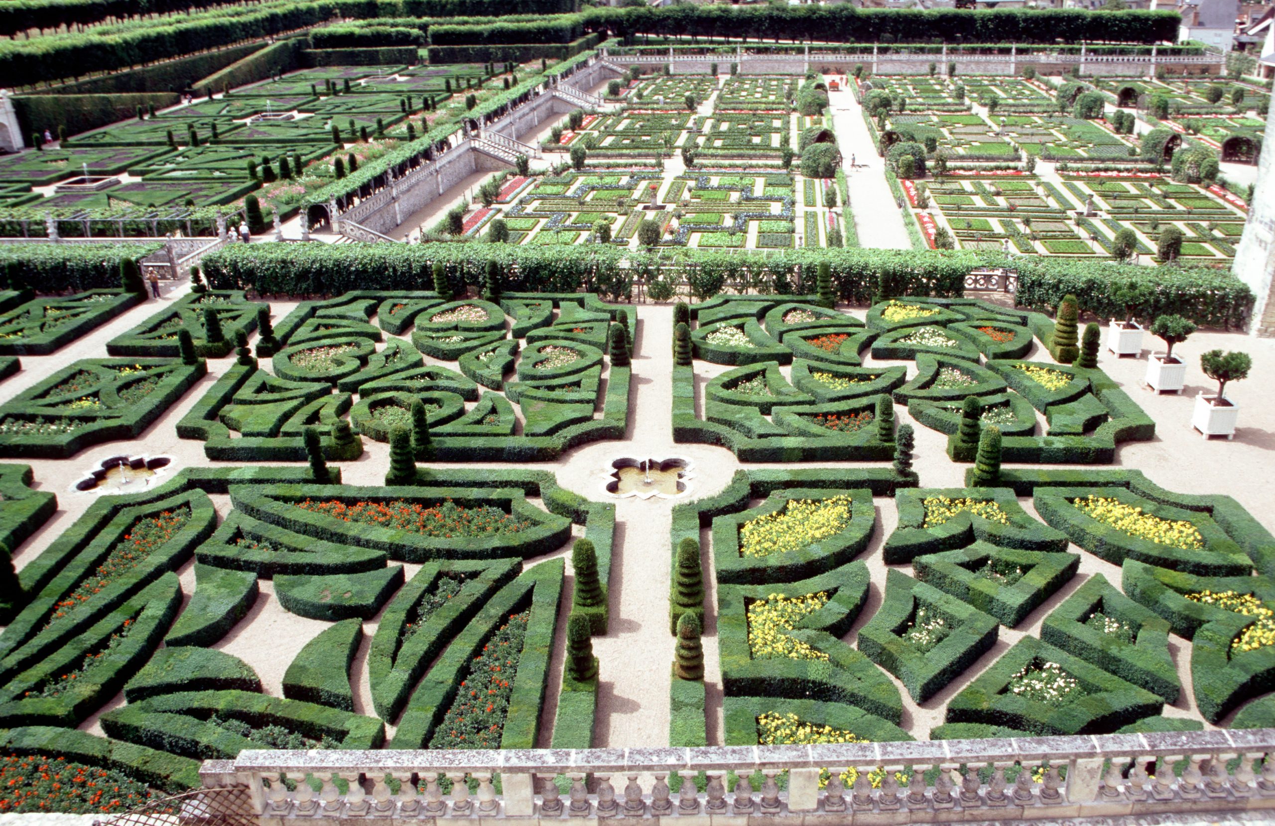 Château de Villandry - Villandry - Indre-et-Loire - France