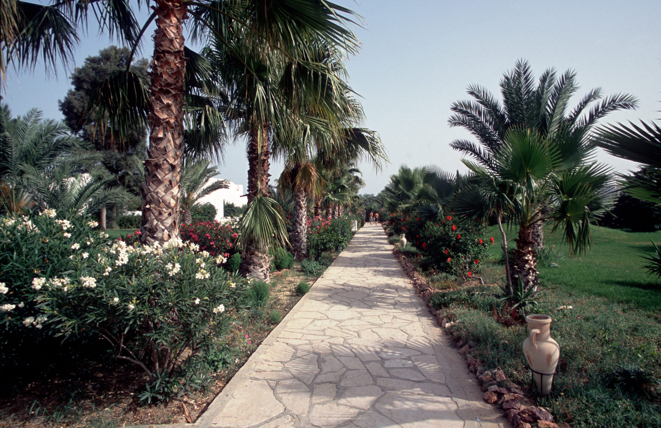 - Hammamet -  - Tunisia