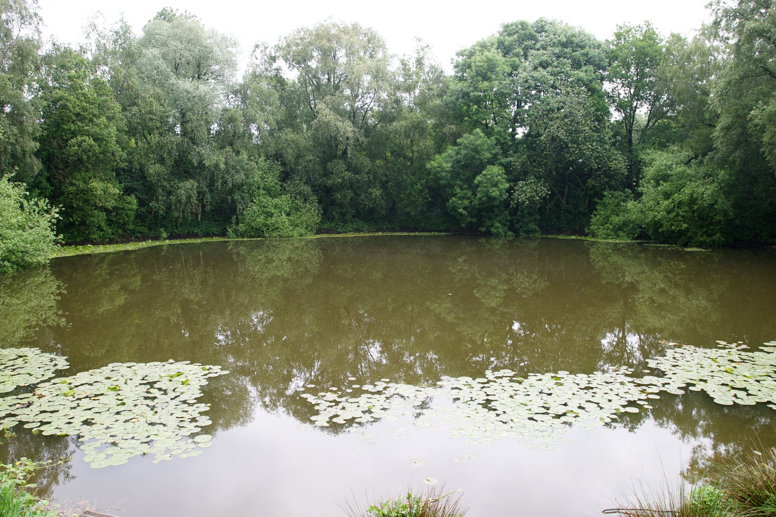 Pool of Peace, Spanbroekmolen - Wytschaete - West Flanders - Belgium