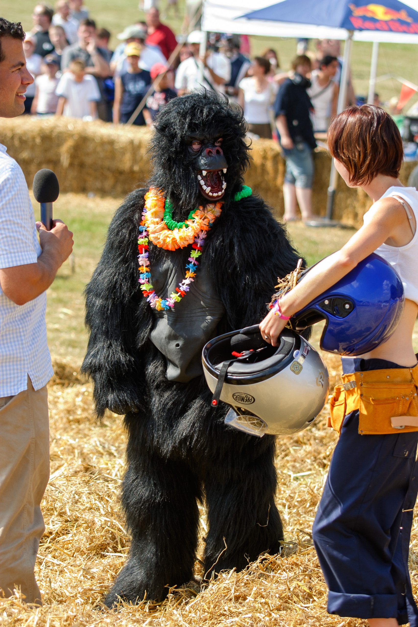 Knebworth House - Knebworth - Hertfordshire - England