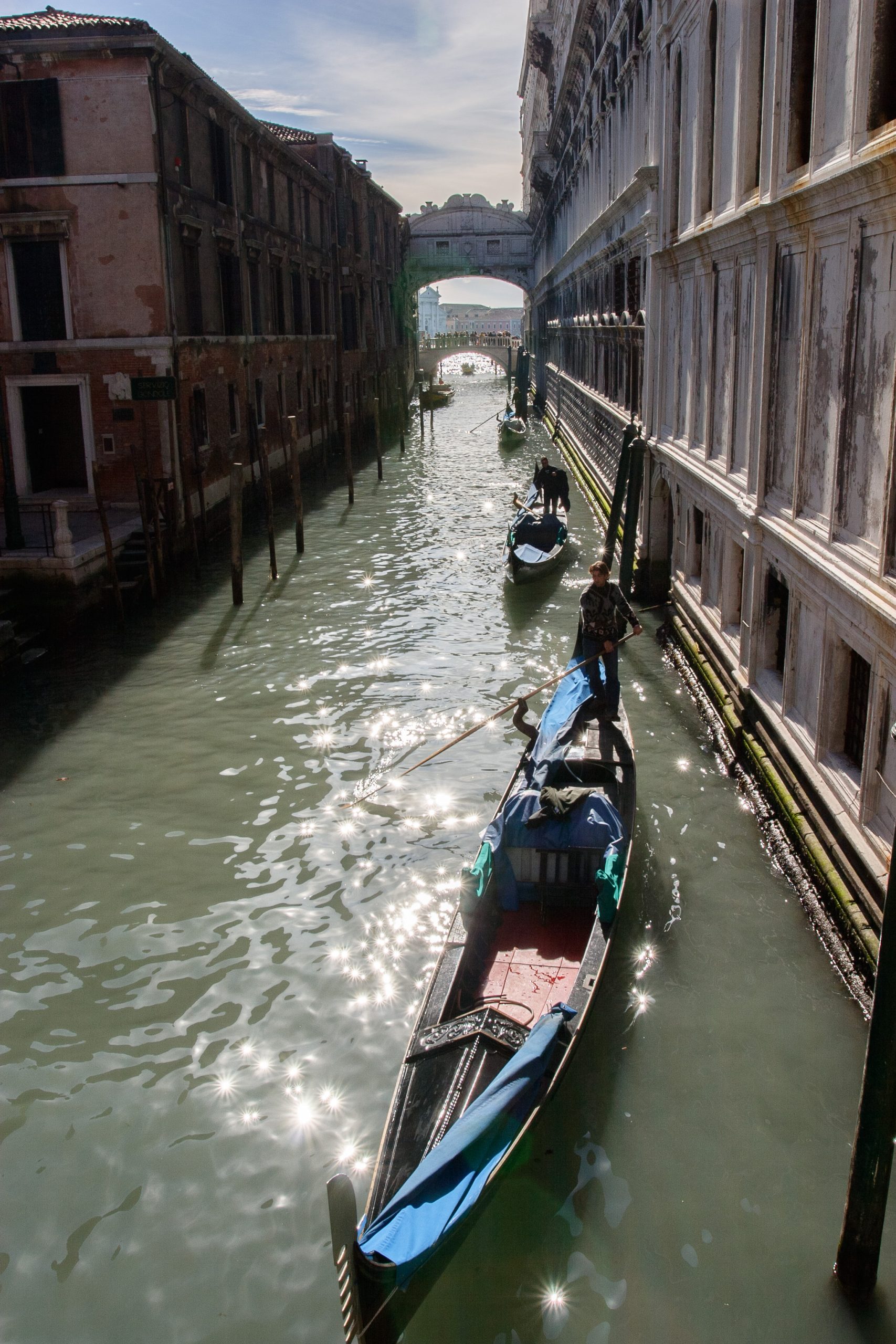 - Venice - Veneto - Italy
