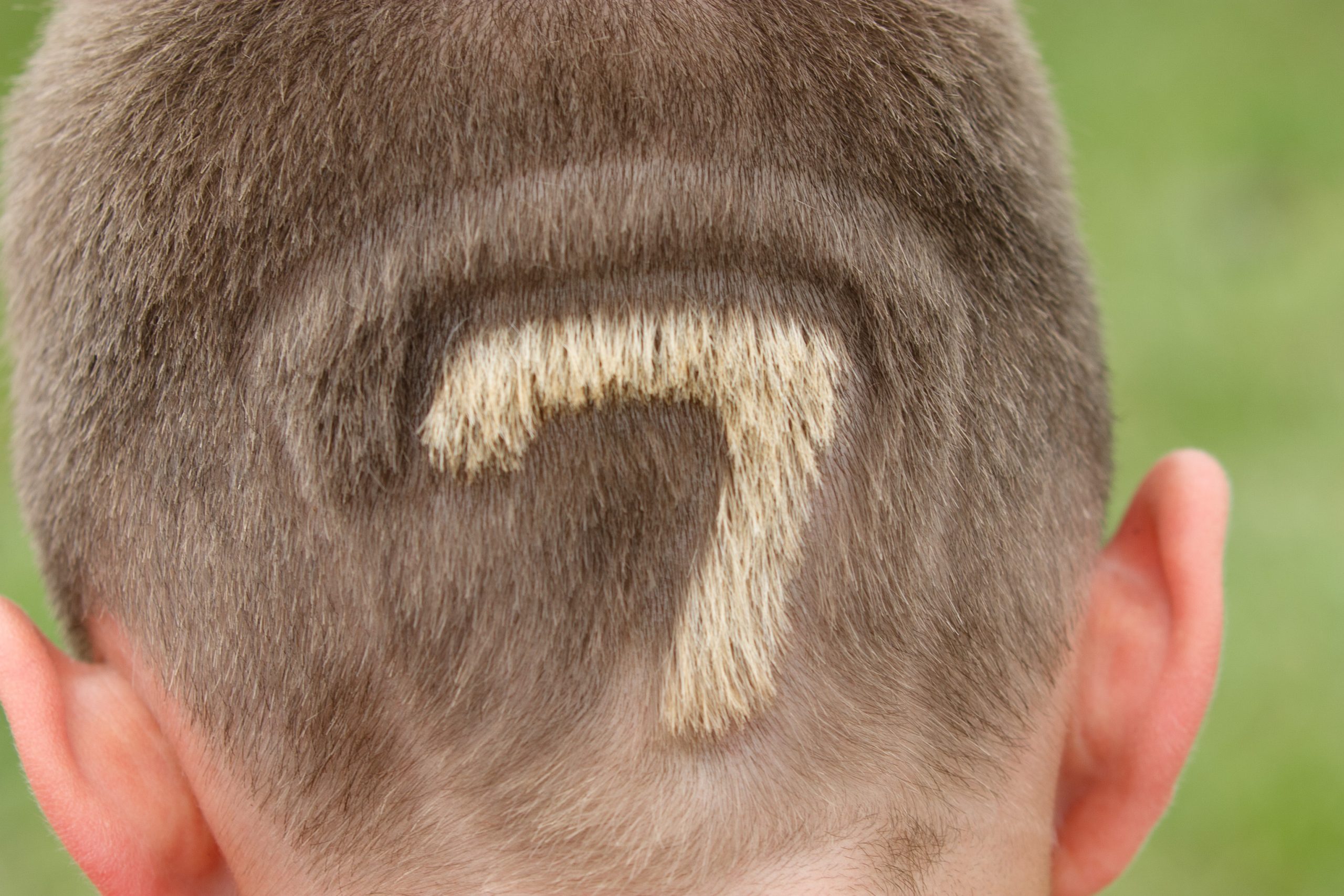 Camping Bleu Sud - Le Mans - Pays de la Loire - France