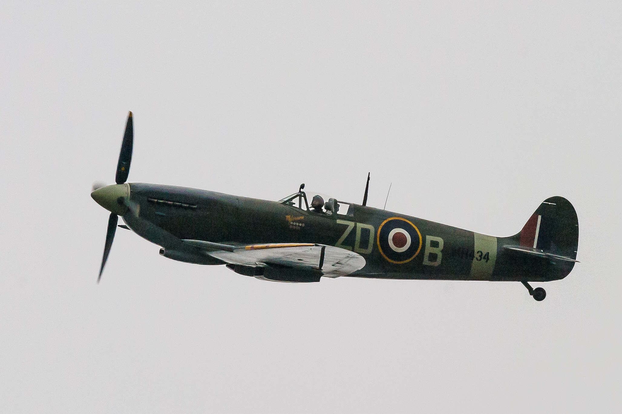 Goodwood Motor Circuit - Chichester - West Sussex - England