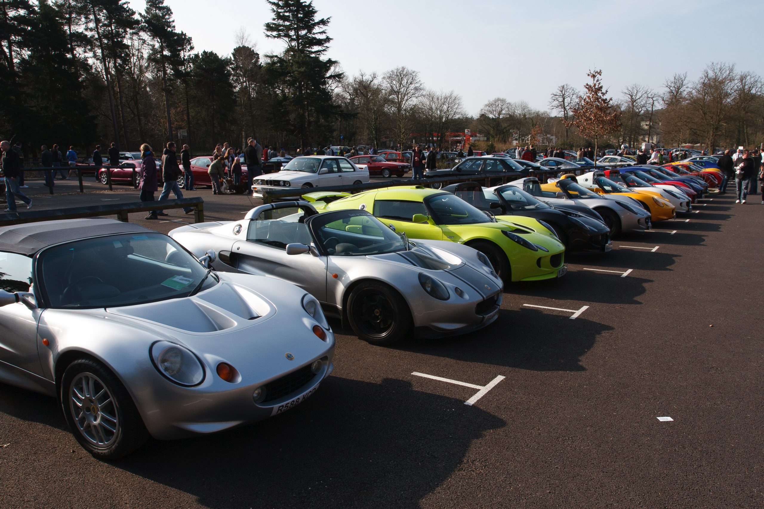 Virginia Water - Virginia Water - Surrey - England