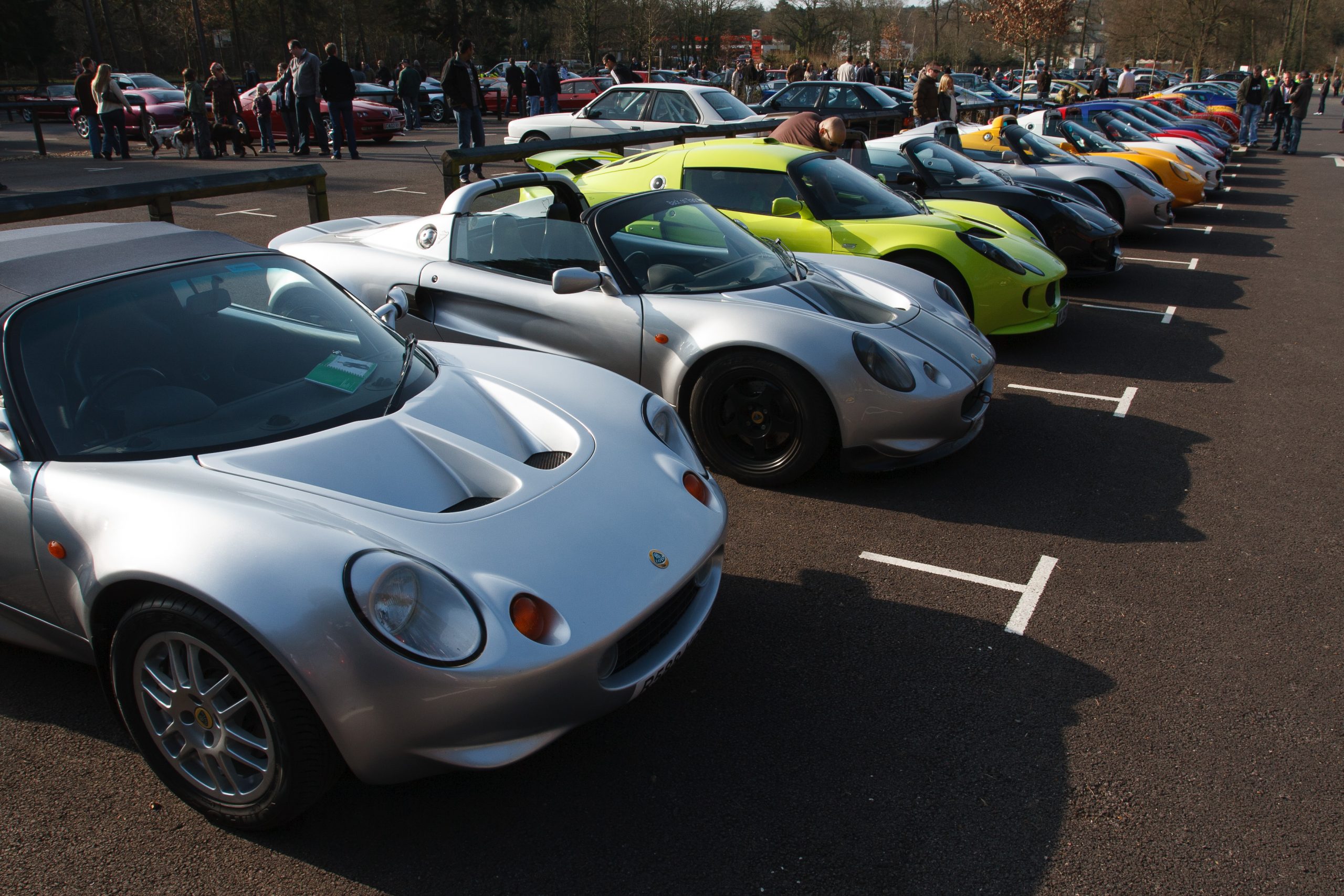 Virginia Water - Virginia Water - Surrey - England