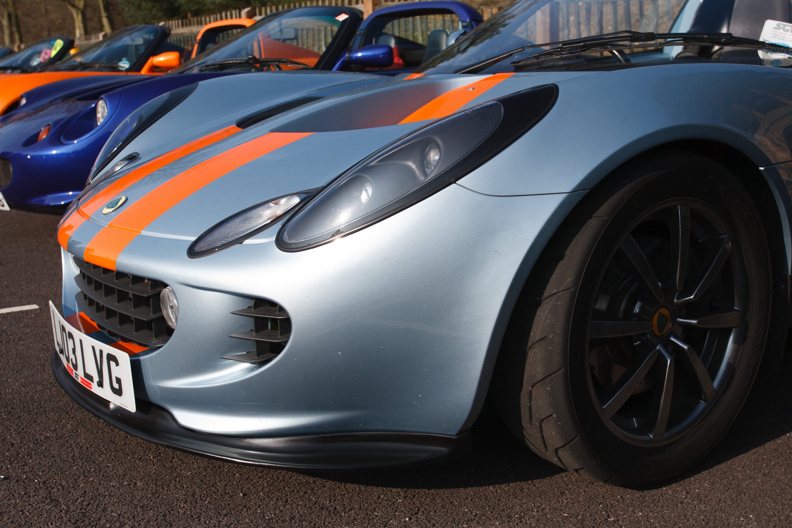 Virginia Water - Virginia Water - Surrey - England