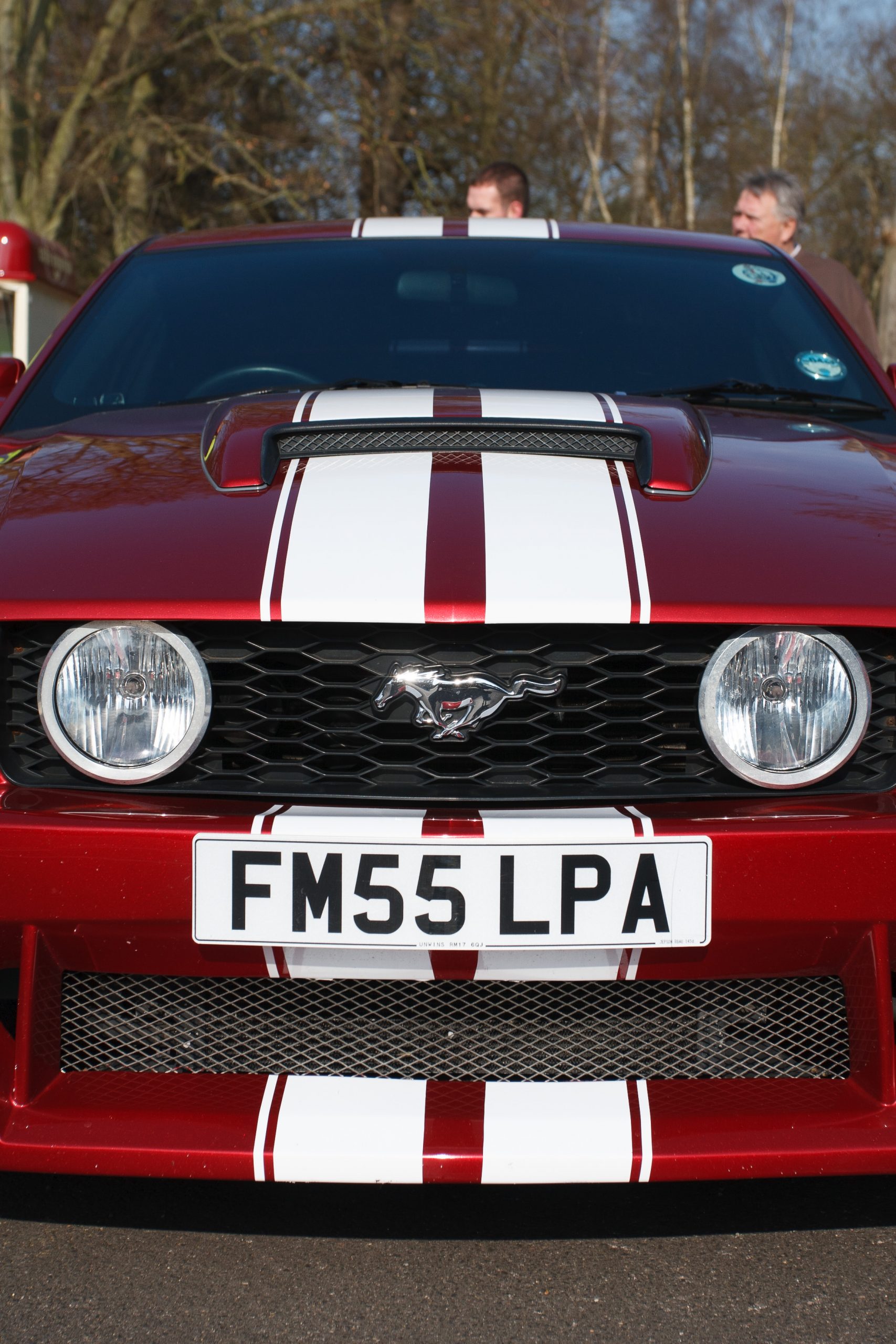 Virginia Water - Virginia Water - Surrey - England