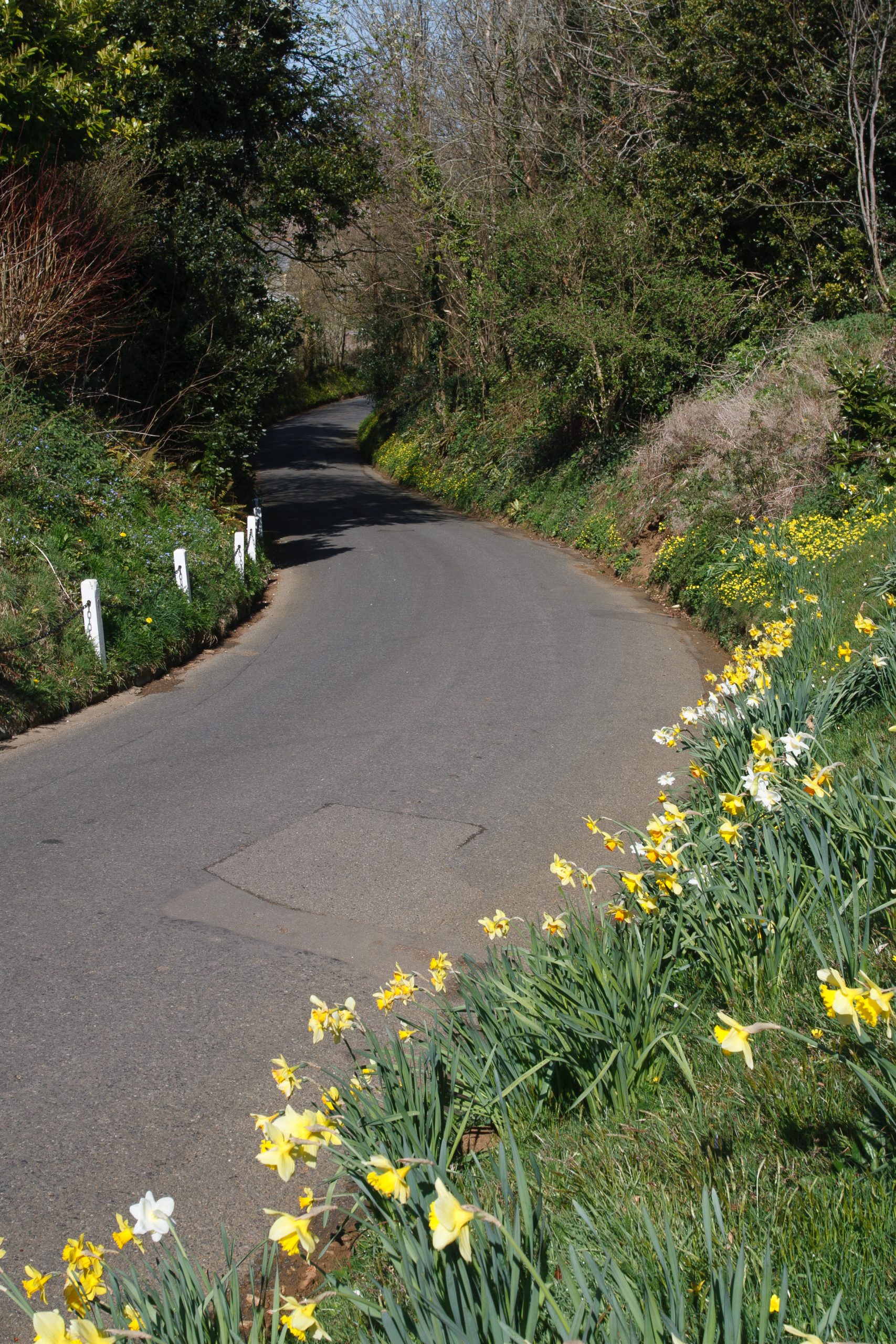 - Godshill - Isle of Wight - England