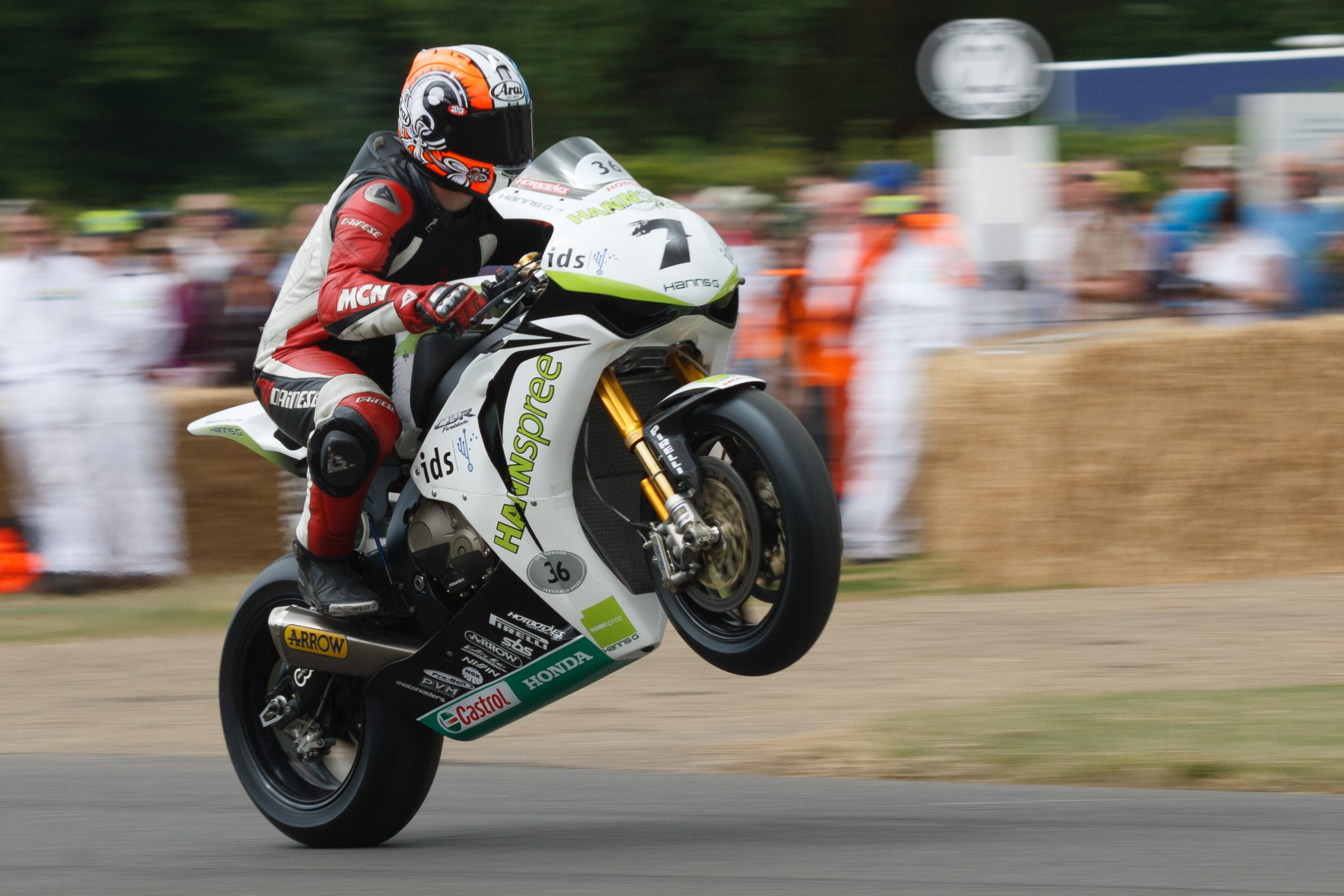 Goodwood House - Chichester - West Sussex - England