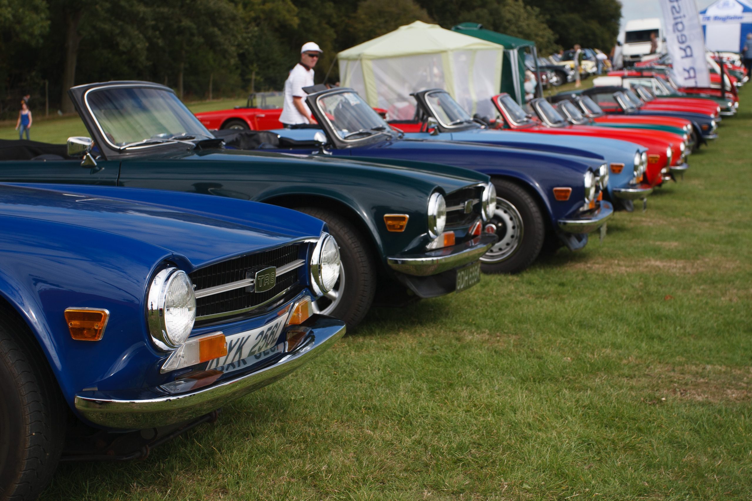 Knebworth Park - Stevenage - Hertfordshire - England