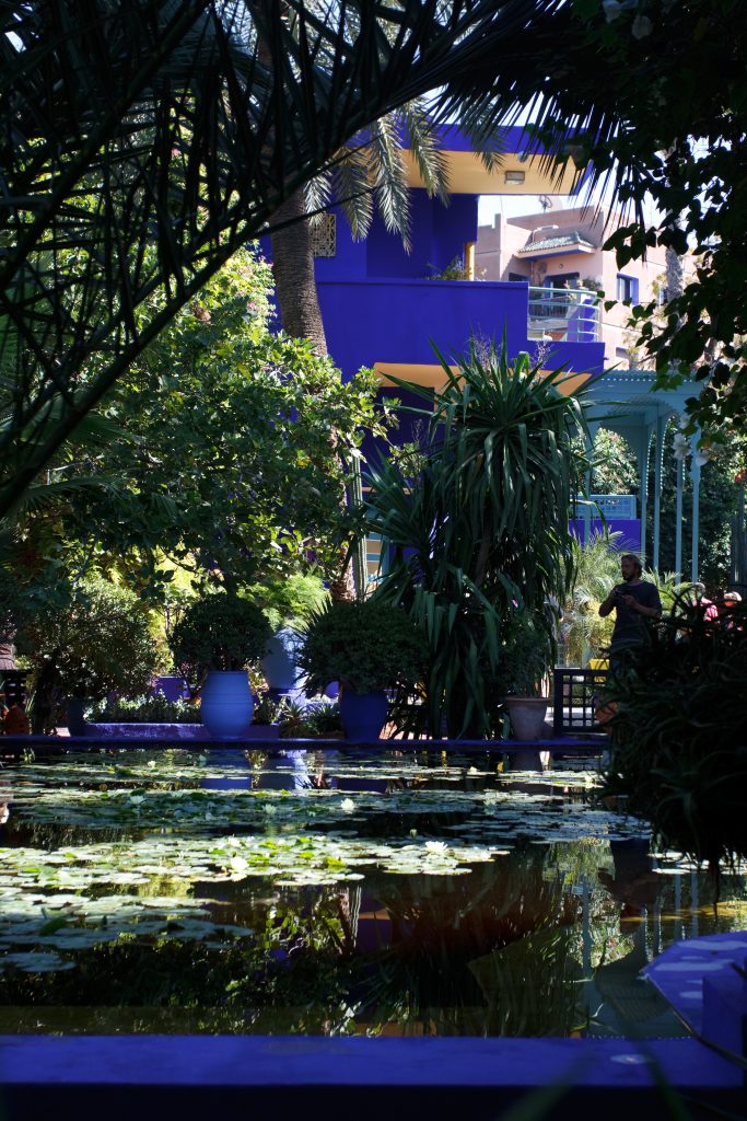 Jardin Majorelle - Marrakech -  - Morocco