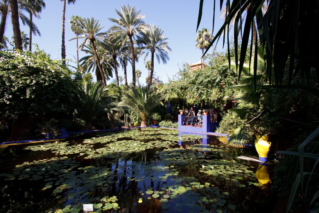 Jardin Majorelle - Marrakech -  - Morocco