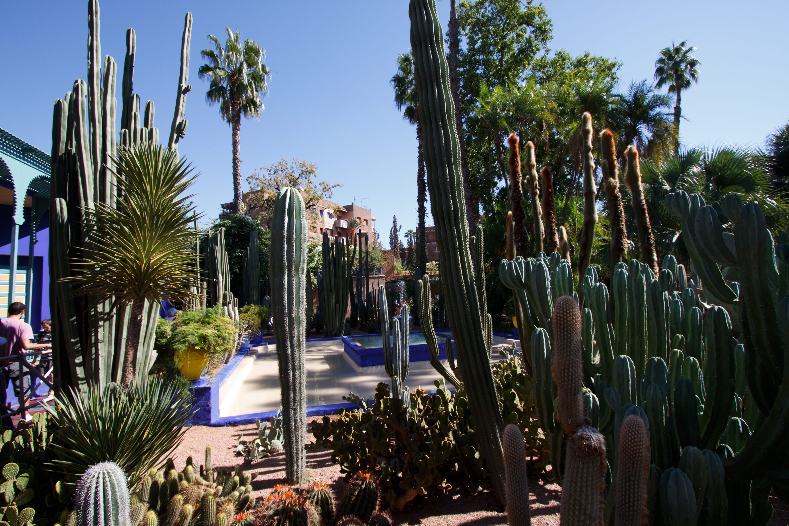 Jardin Majorelle - Marrakech -  - Morocco