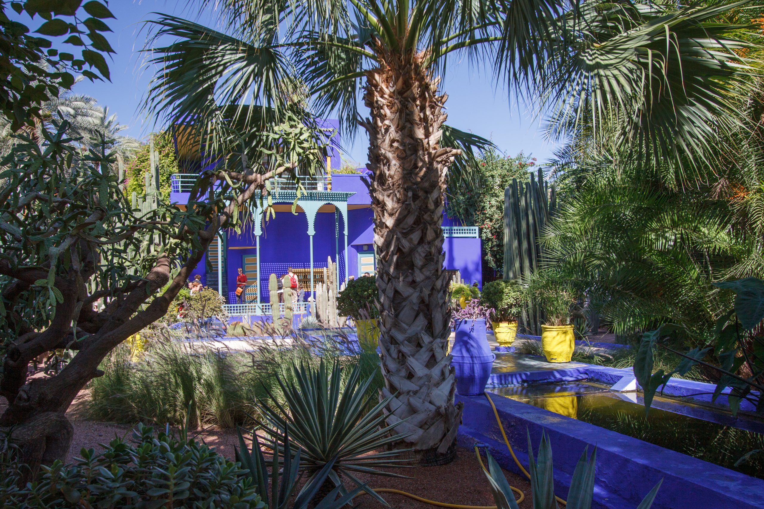 Jardin Majorelle - Marrakech -  - Morocco