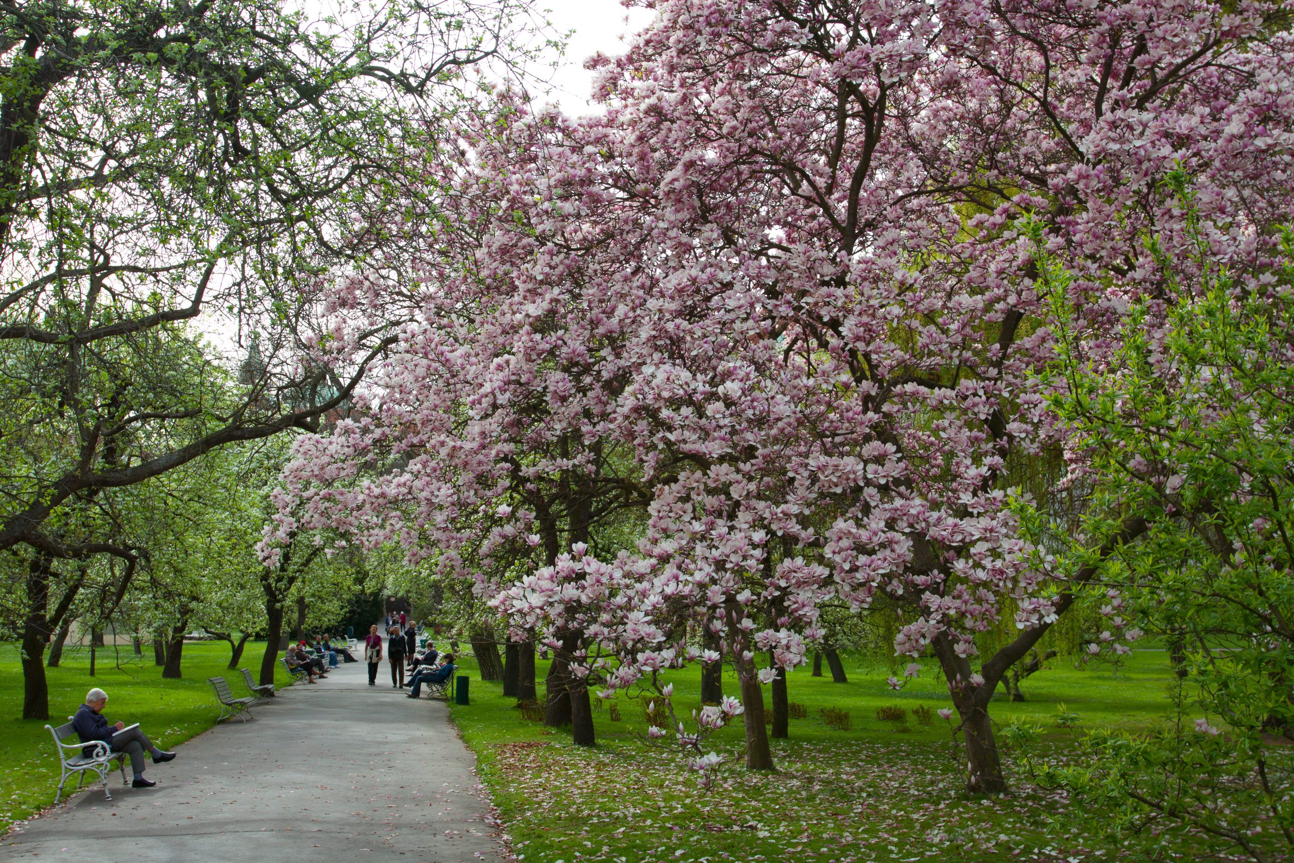 Vojan Gardens - Prague -  - Czech Republic