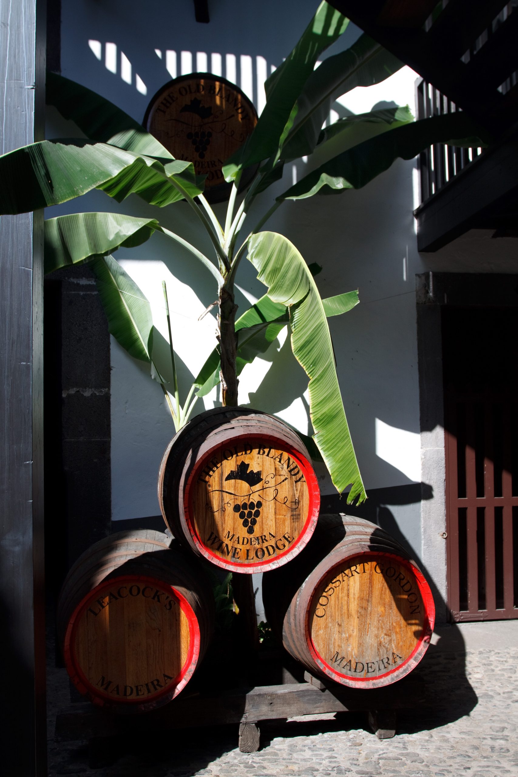 Blandys - Funchal - Madeira - Portugal