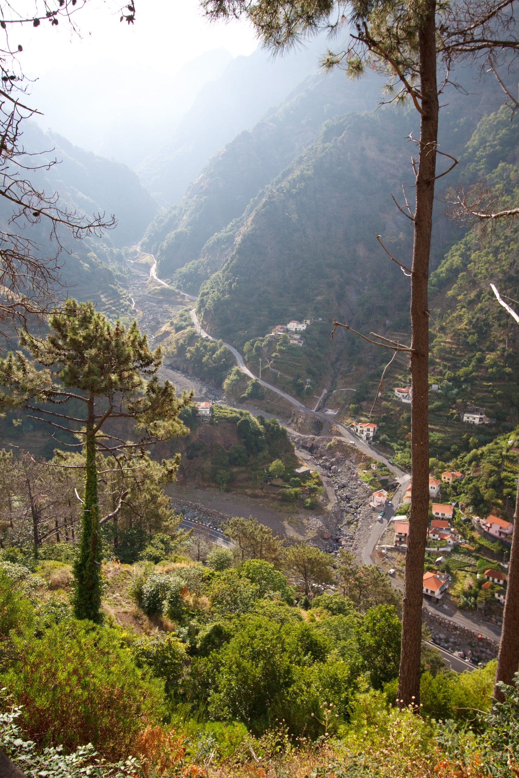 - Serra de Agua - Madeira - Portugal
