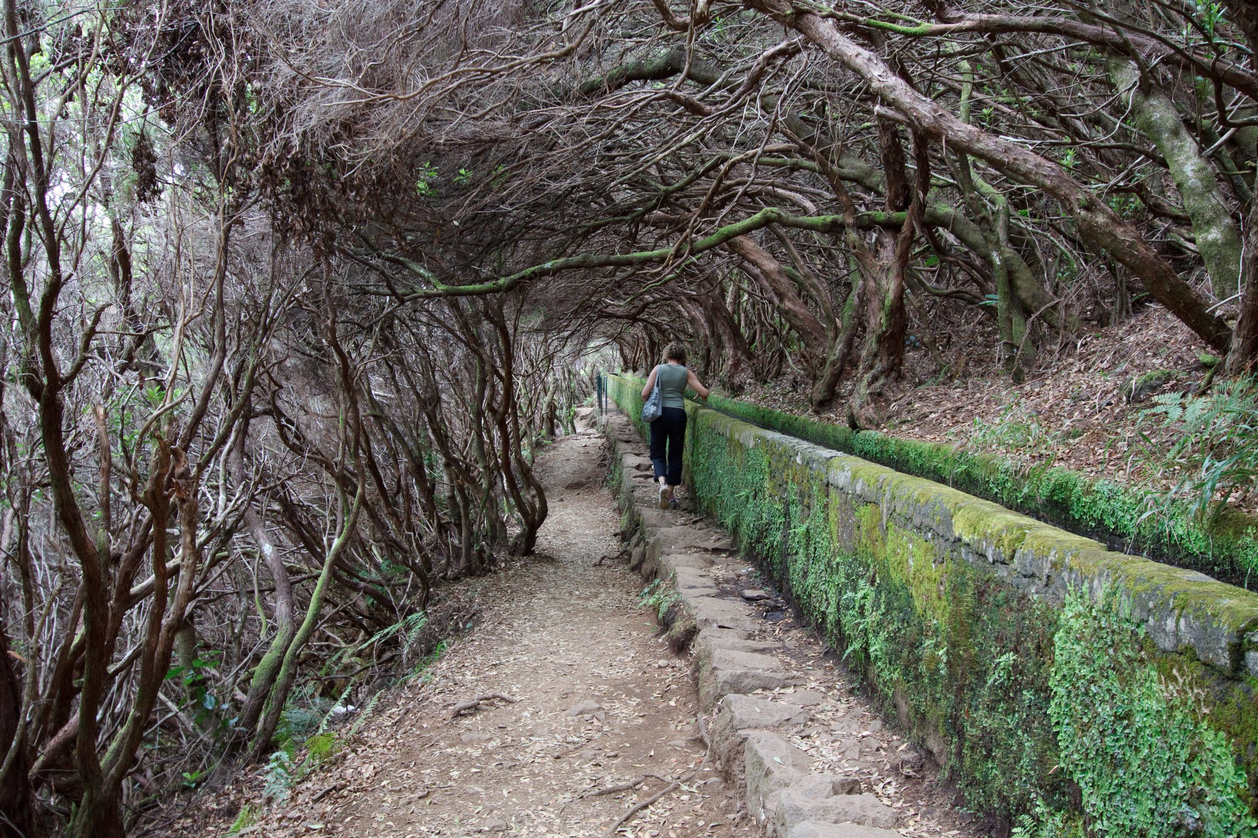 Levada das 25 Fontes - Rabaçal - Madeira - Portugal