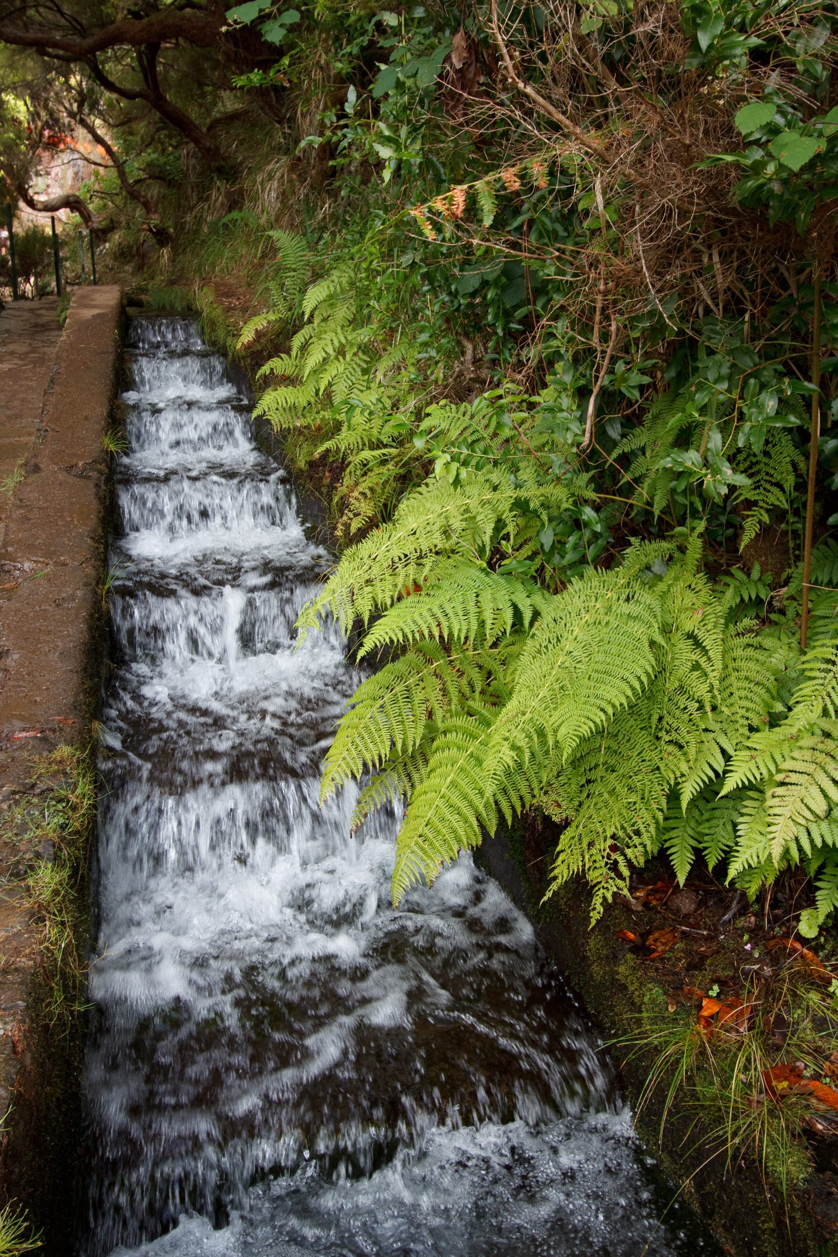 Levada das 25 Fontes - Rabaçal - Madeira - Portugal