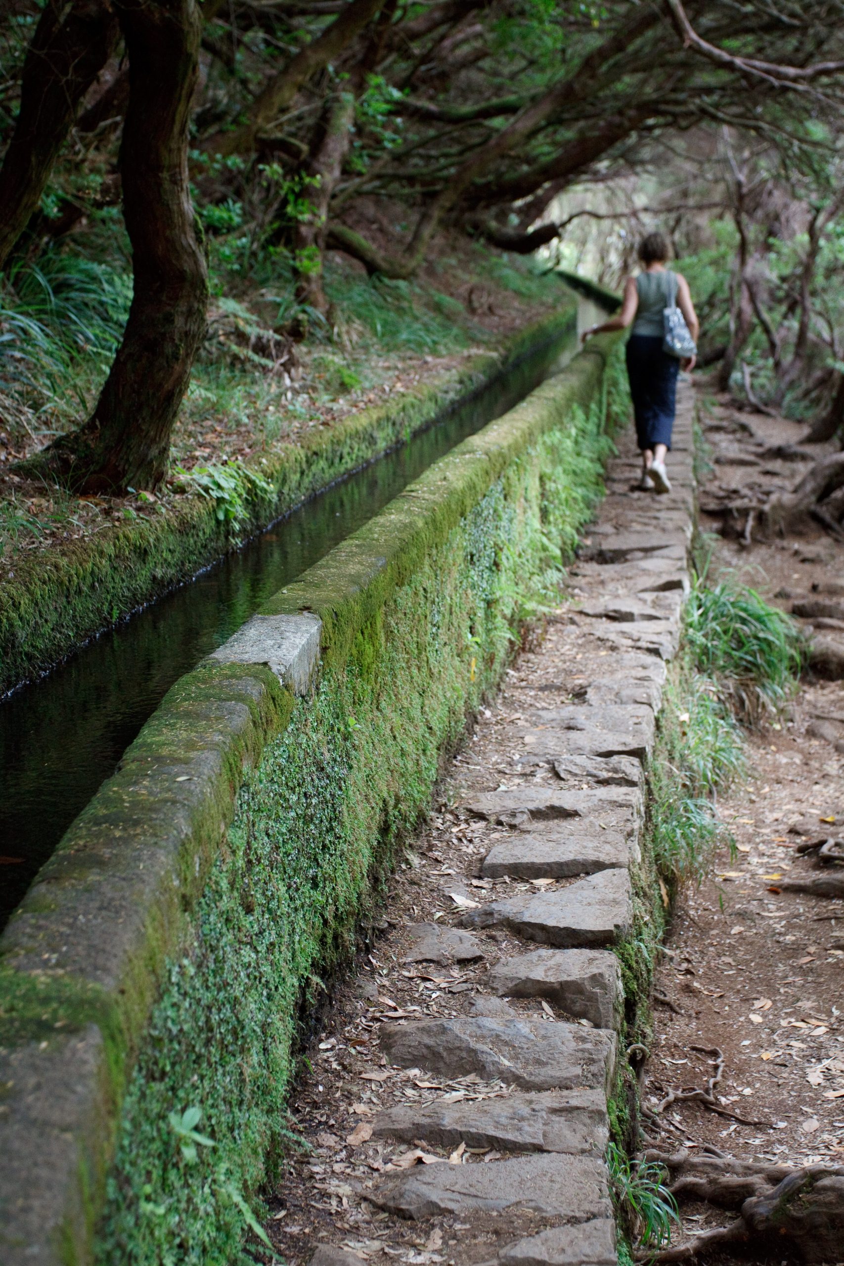 Levada das 25 Fontes - Rabaçal - Madeira - Portugal