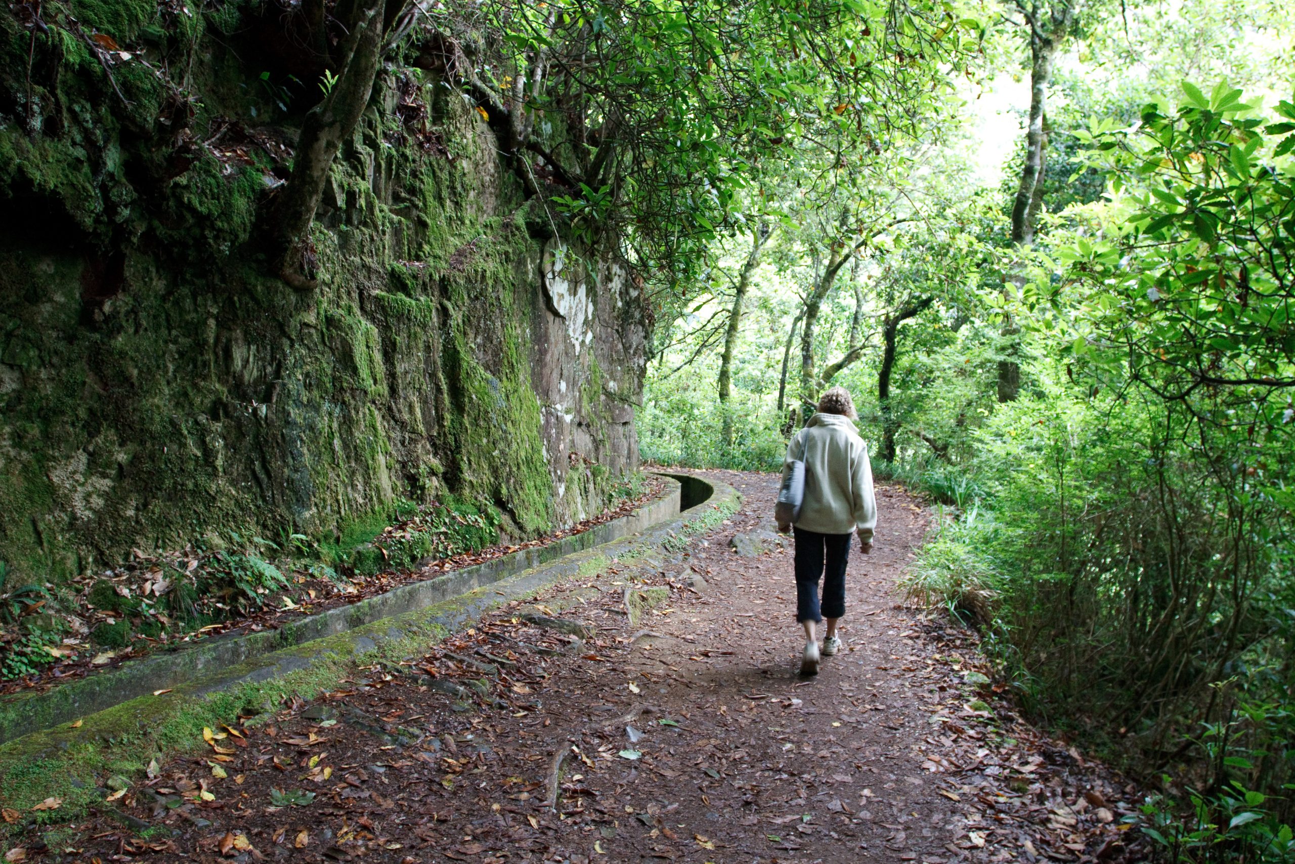 Balcoes - Ribeiro Frio - Madeira - Portugal