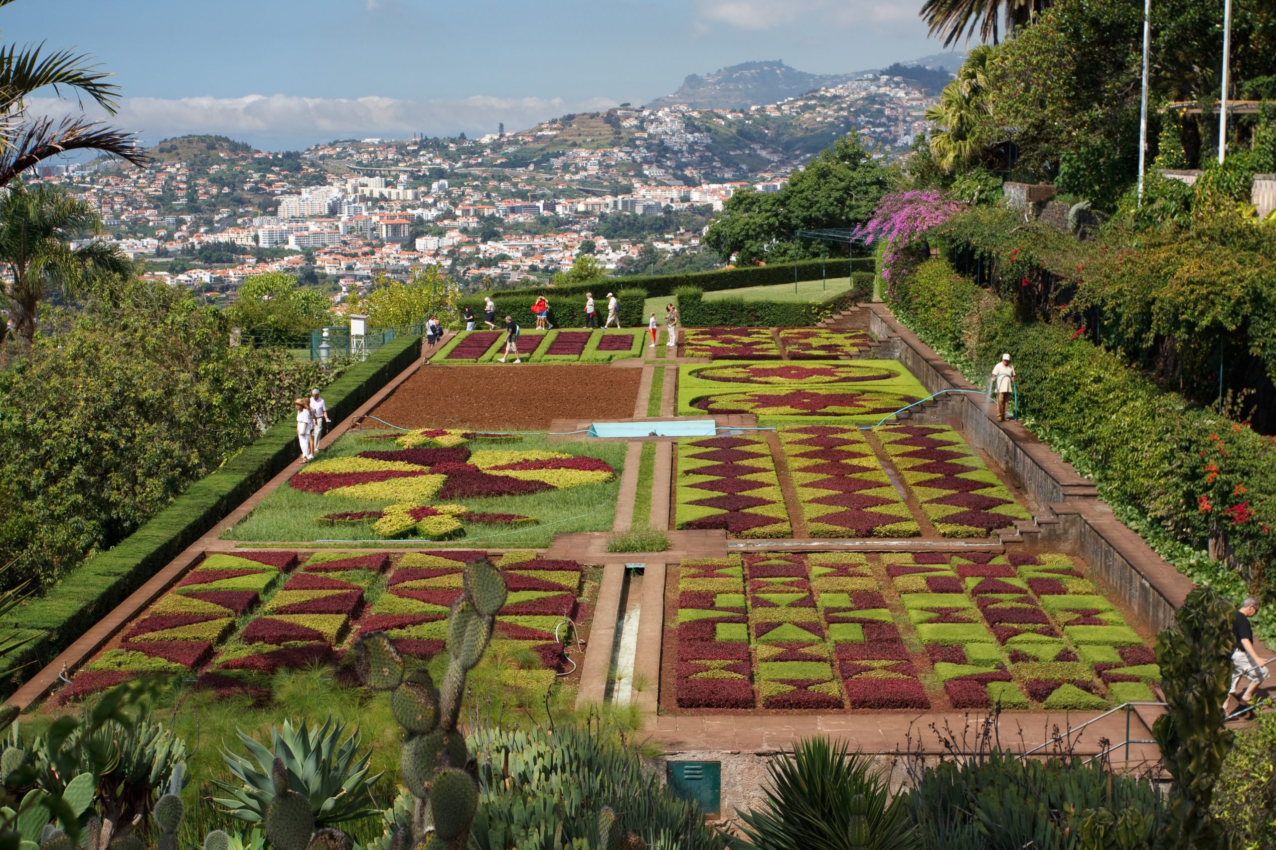 Jardim Botanico - Monte - Madeira - Portugal