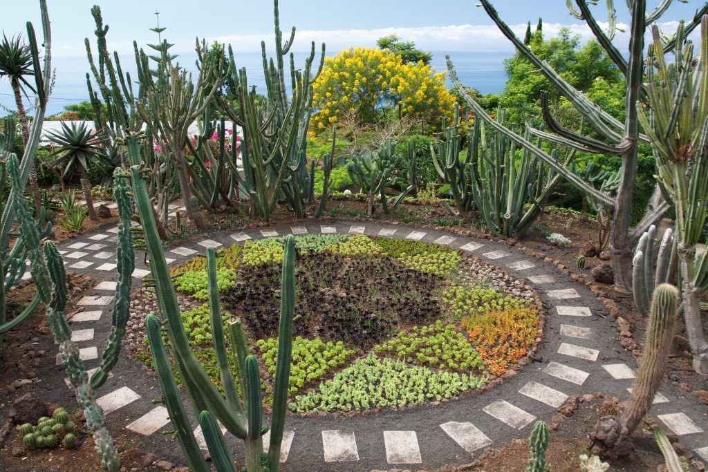 Jardim Botanico - Monte - Madeira - Portugal