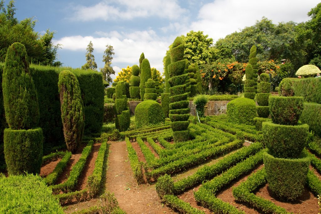 Jardim Botanico - Monte - Madeira - Portugal