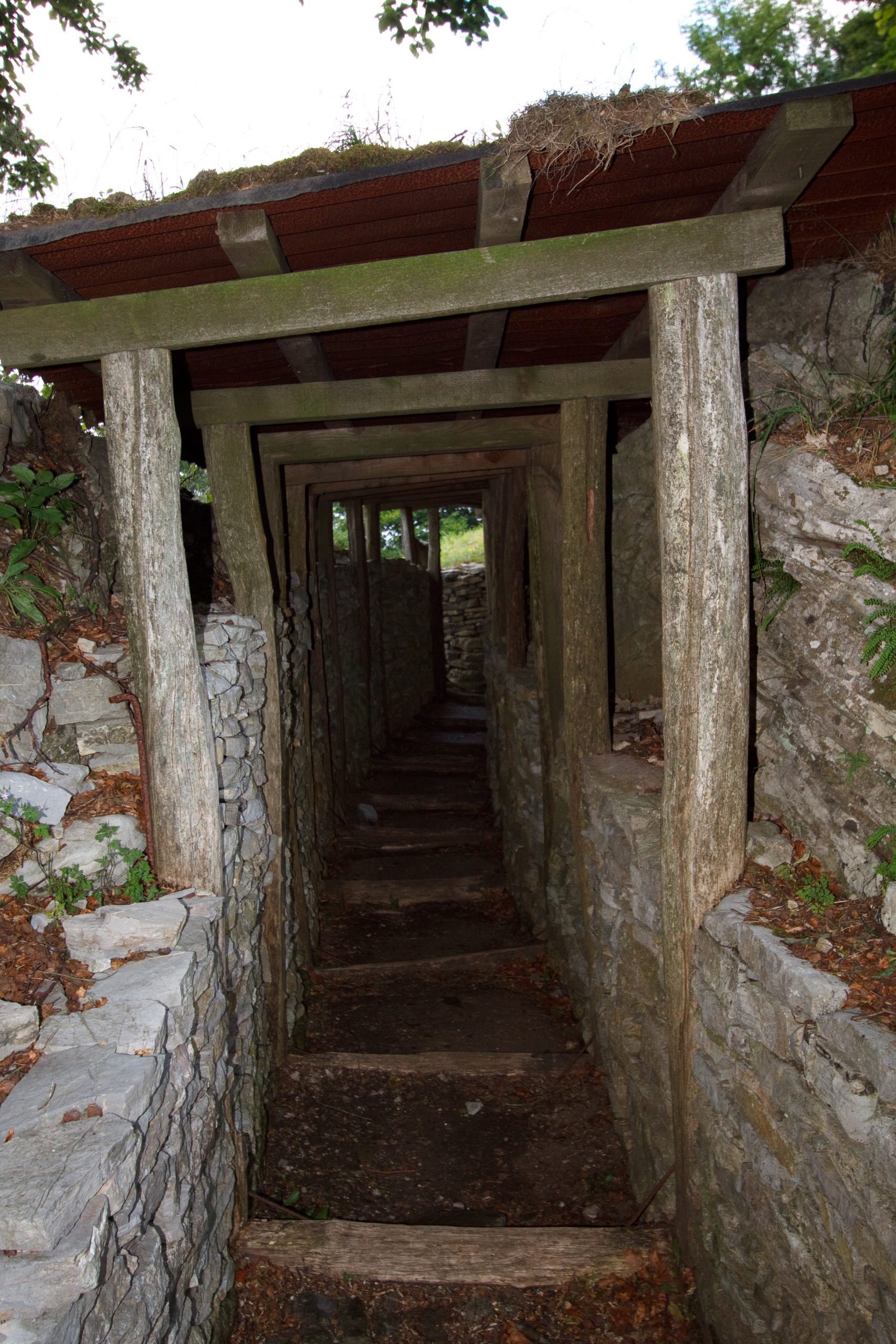 Na Gradu trenches - Volce -  - Slovenia