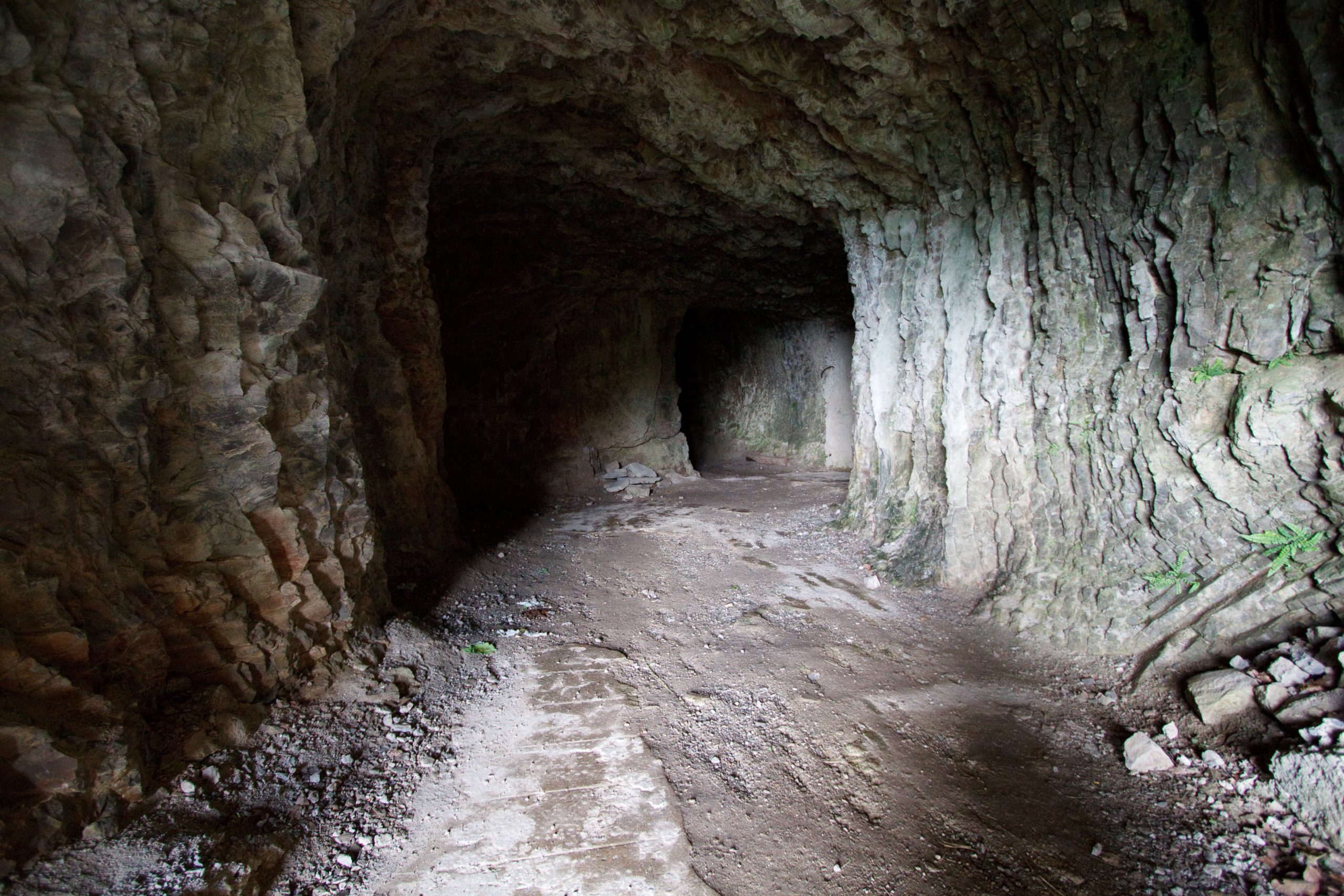 Na Gradu trenches - Volce -  - Slovenia
