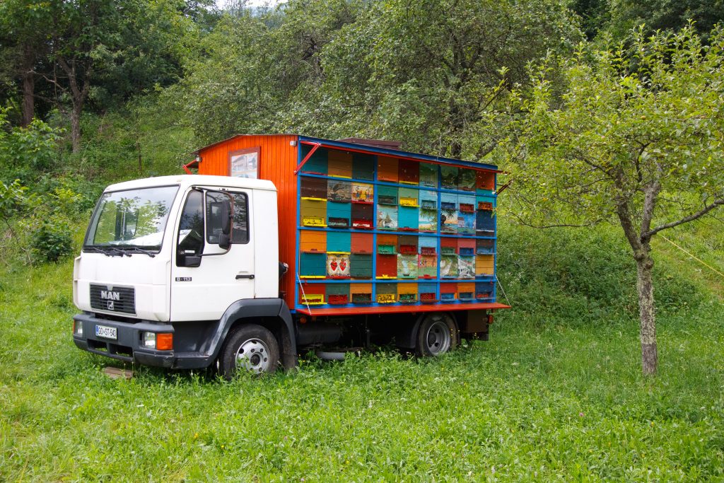 Bee lorry - Kobarid -  - Slovenia