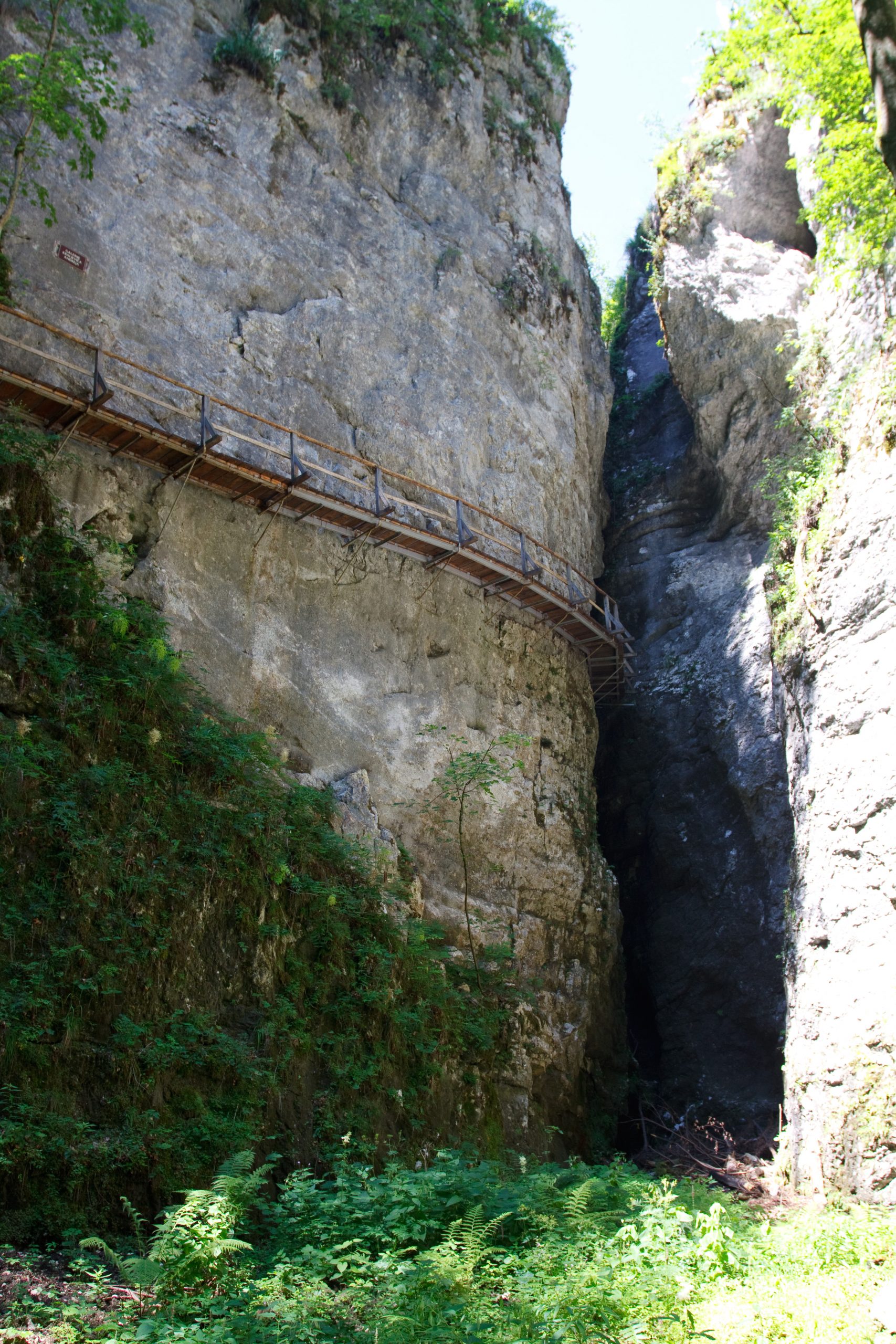 Pokljuka Gorge - Krnica -  - Slovenia