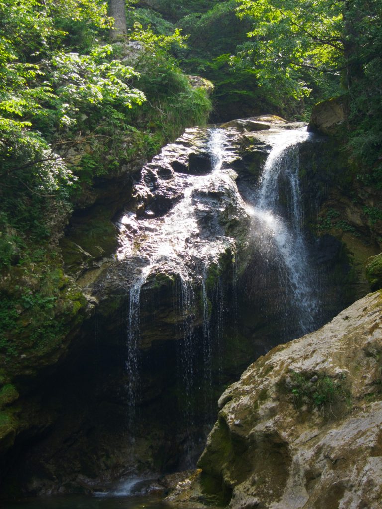 Vintgar Gorge - Vintgar -  - Slovenia